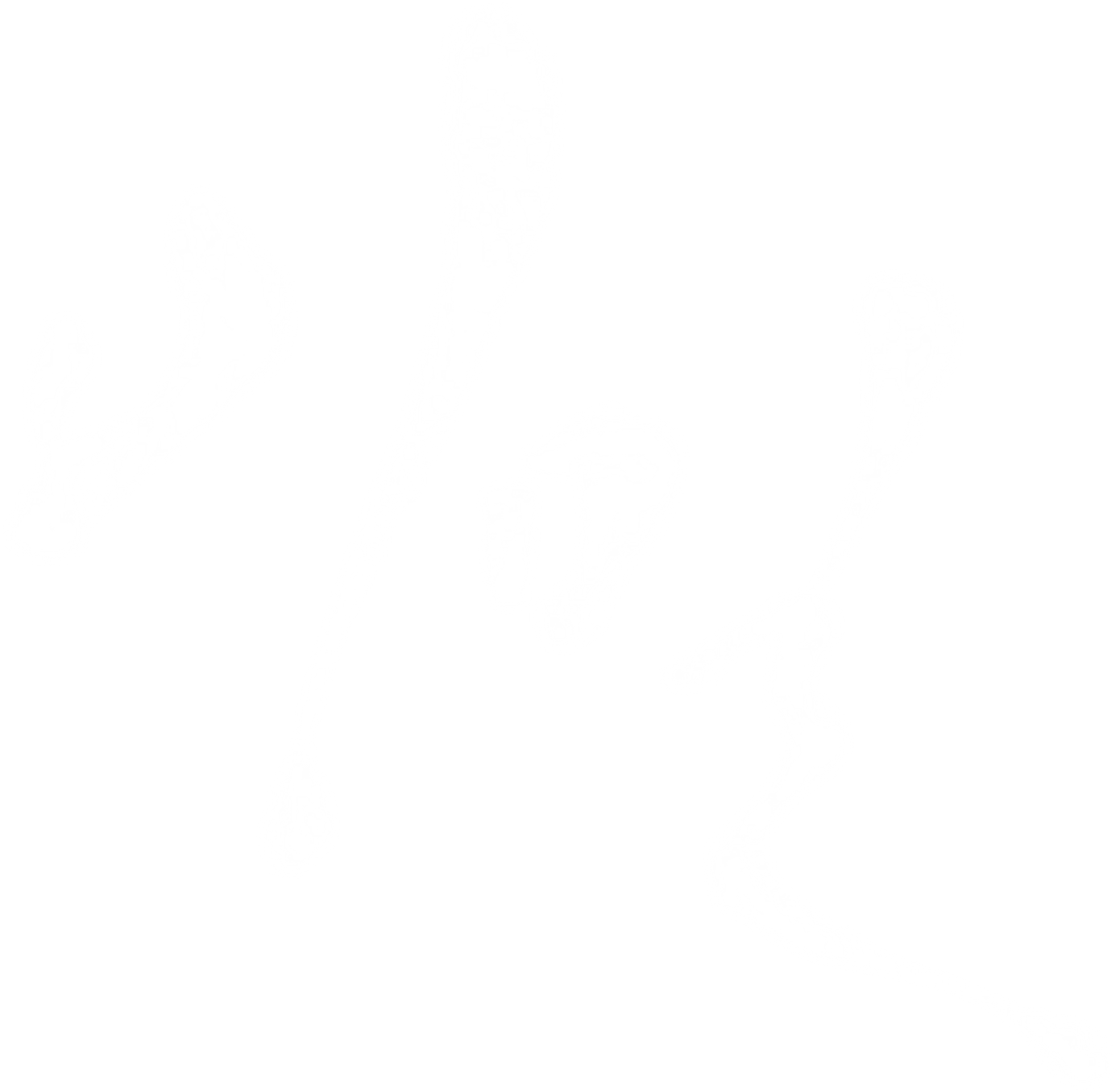 비밀