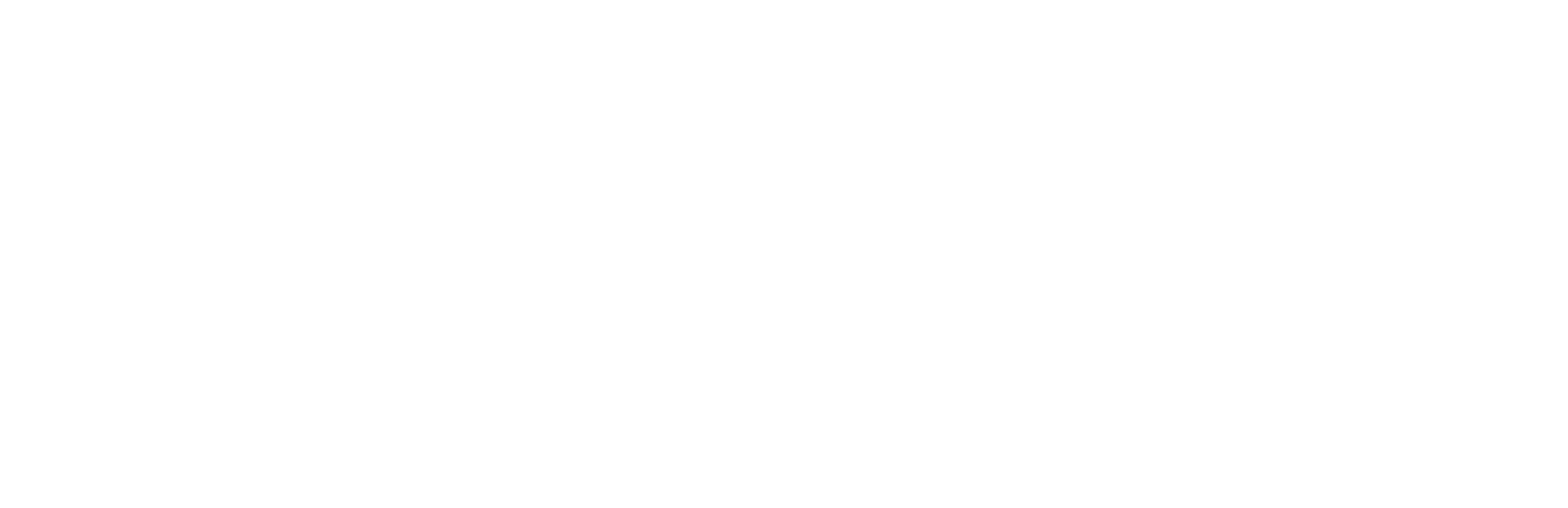 폴리스