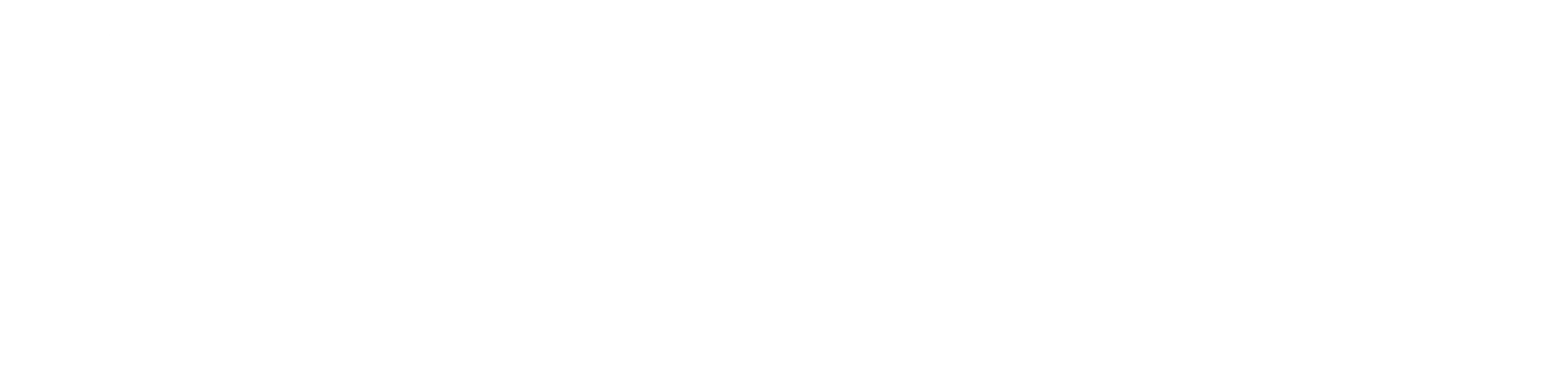 작가 미상