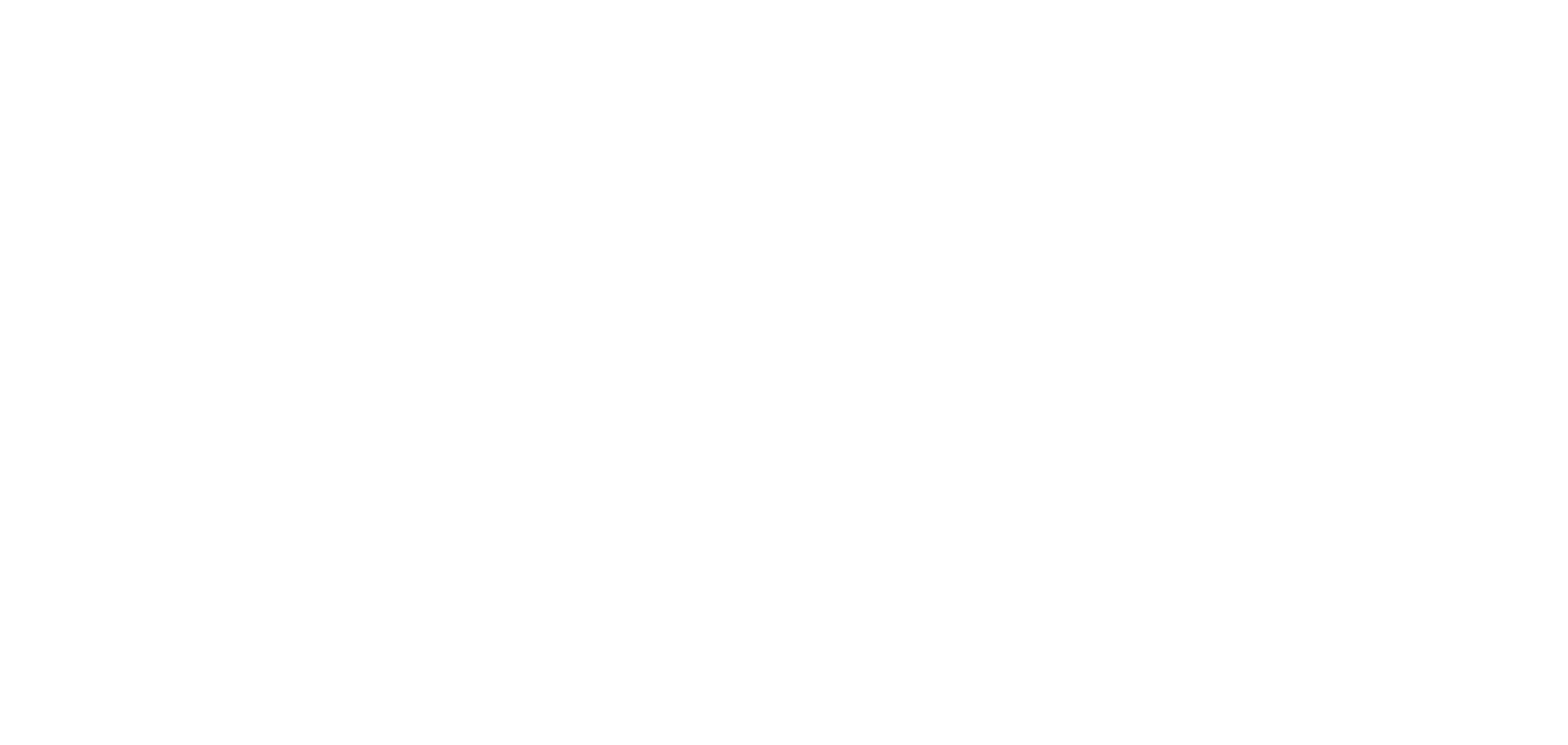맥시멈 컨빅션