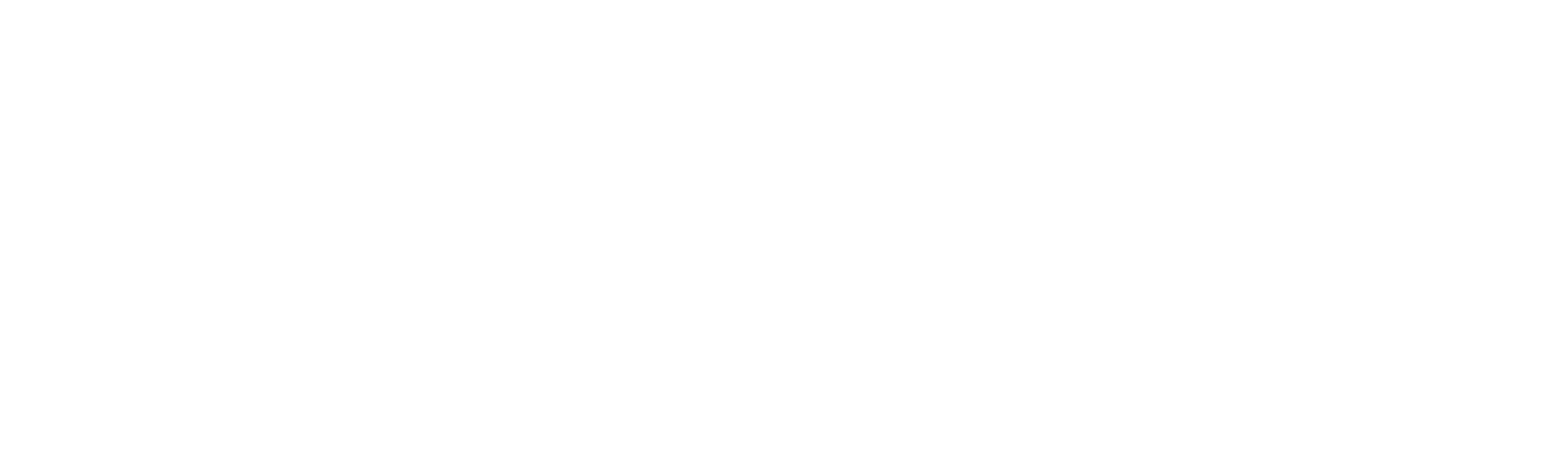 비밀스러운 아내