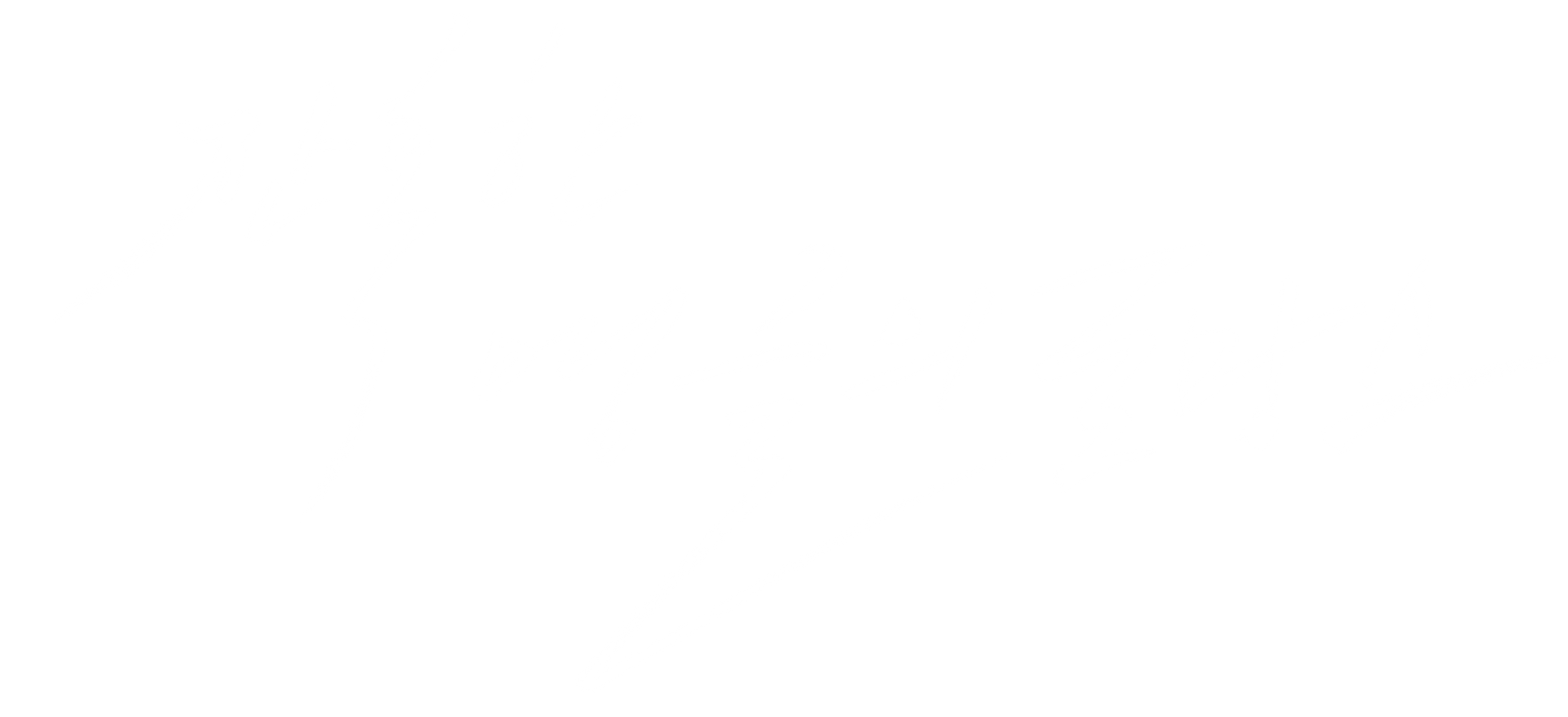 잔혹한 앵글의 로망스