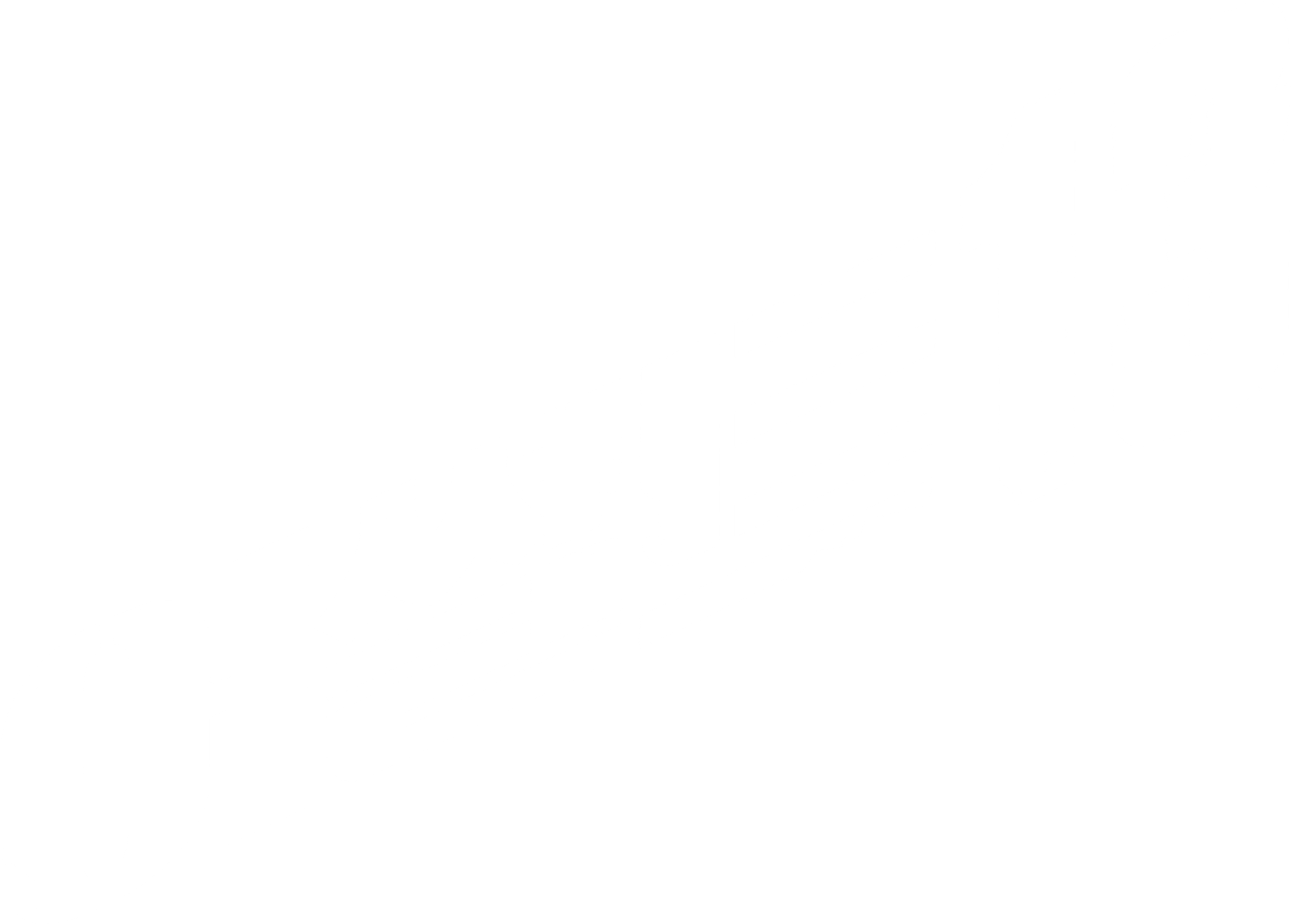 어썰트 13