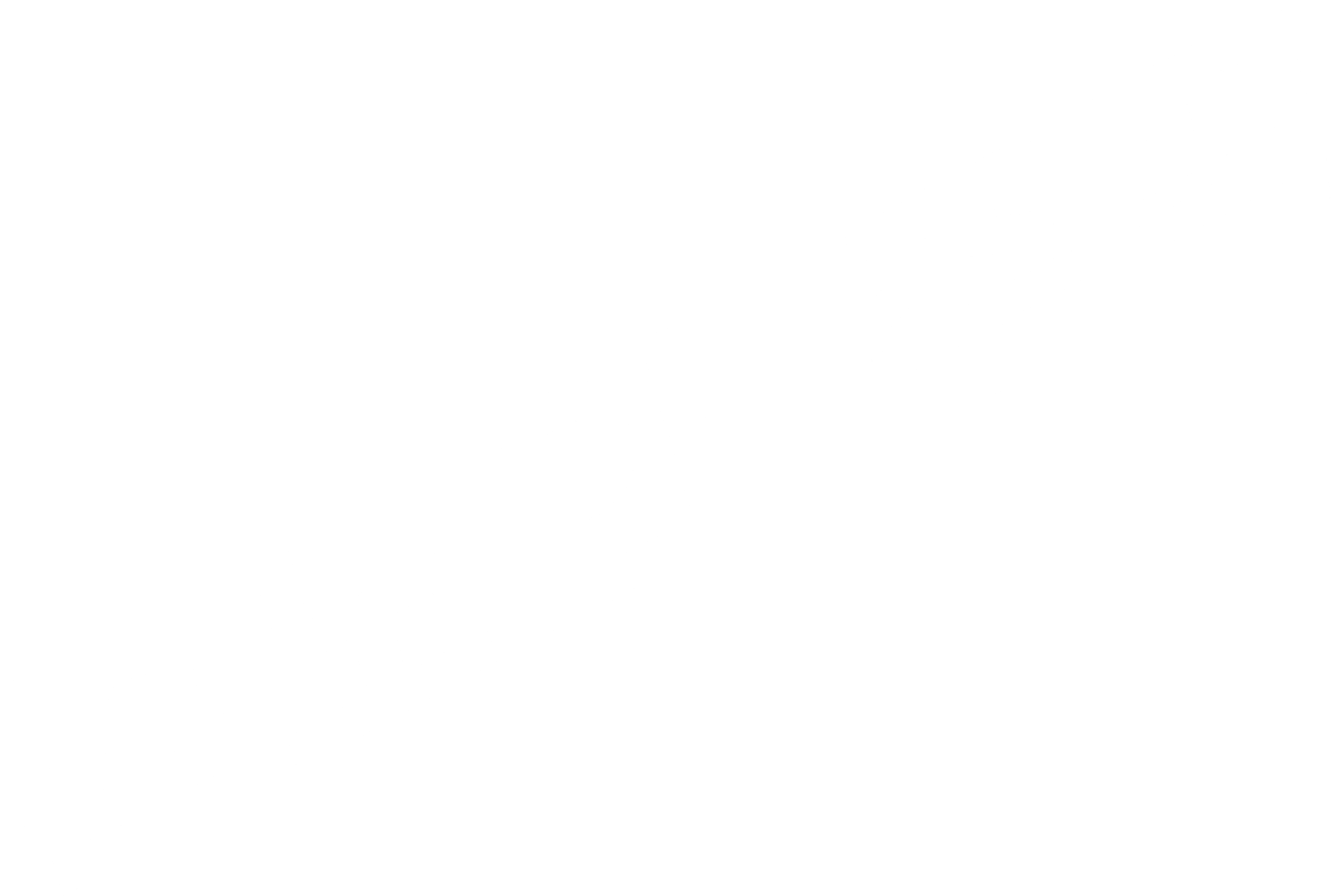 분노의 주먹