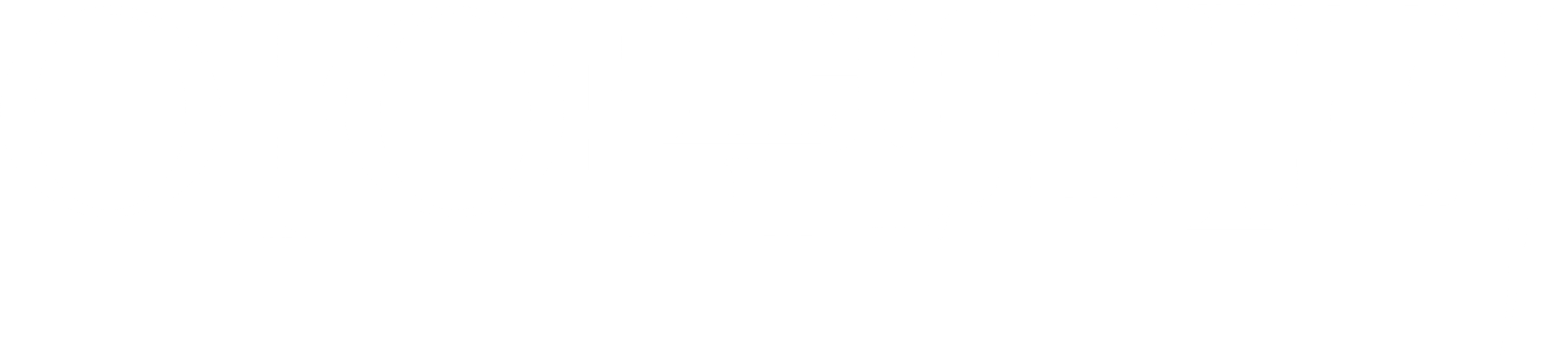 아이덴티티