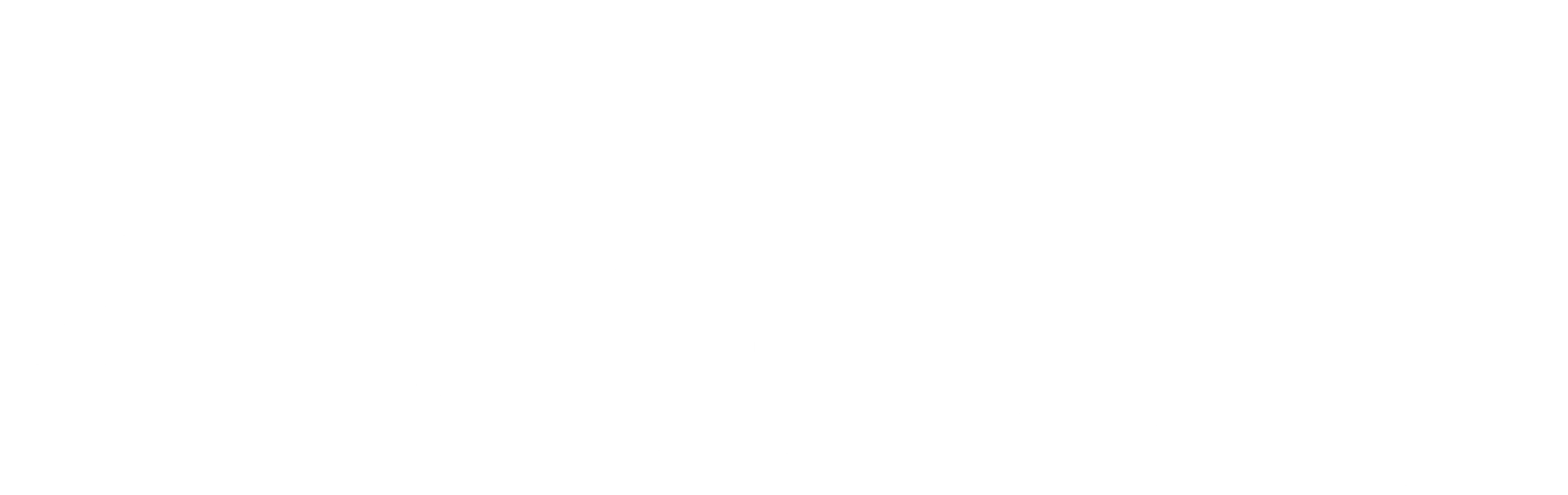 시간의 춤