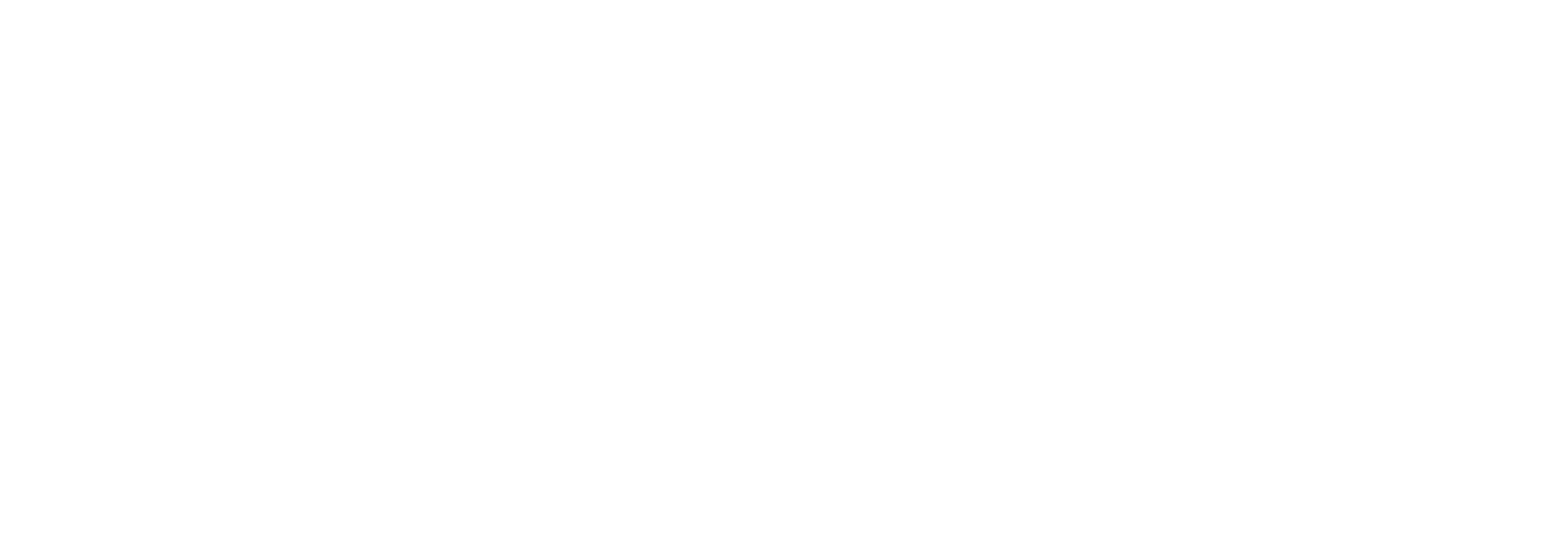 리본