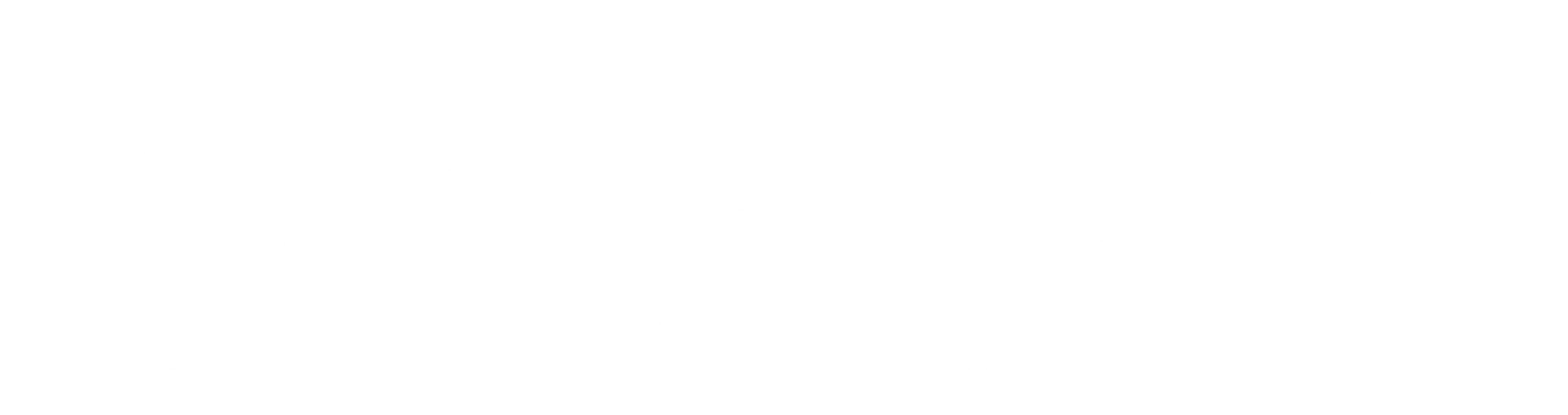엔카운터