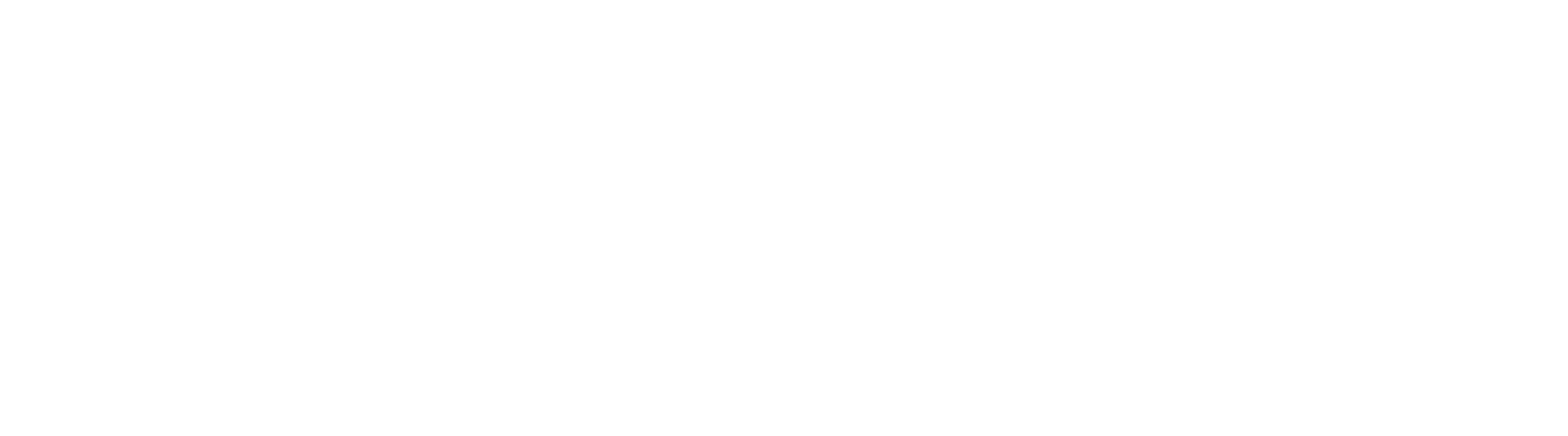그린 북