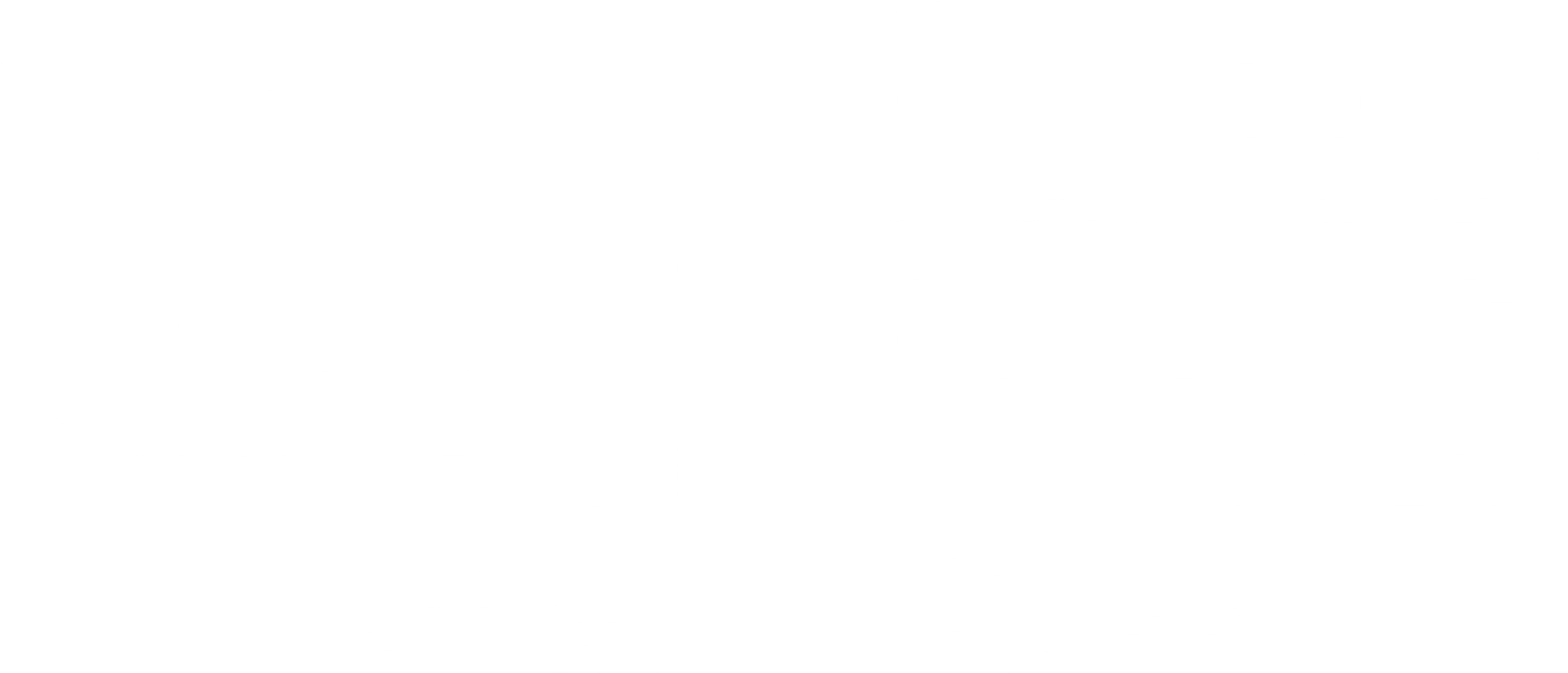 더 뮬: 죽음의 질주