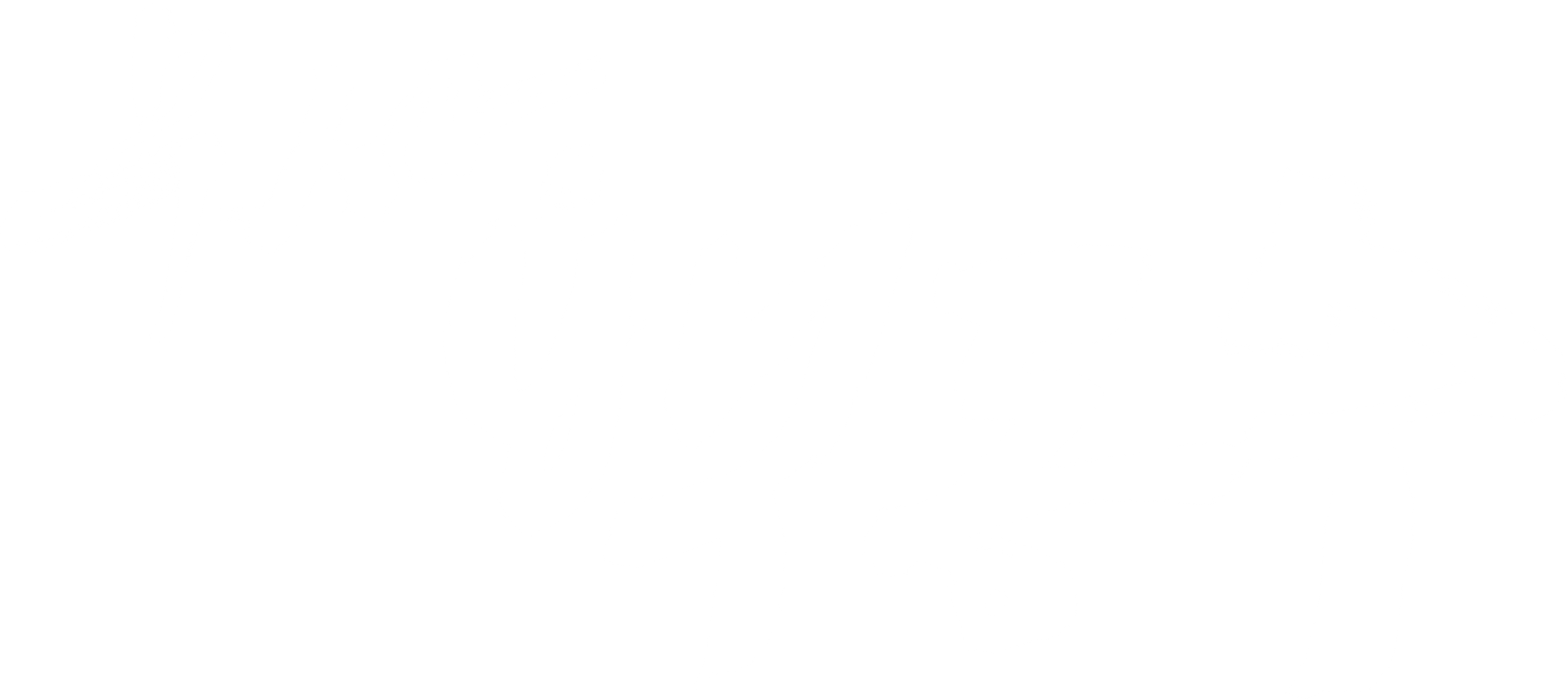 무사 백동수