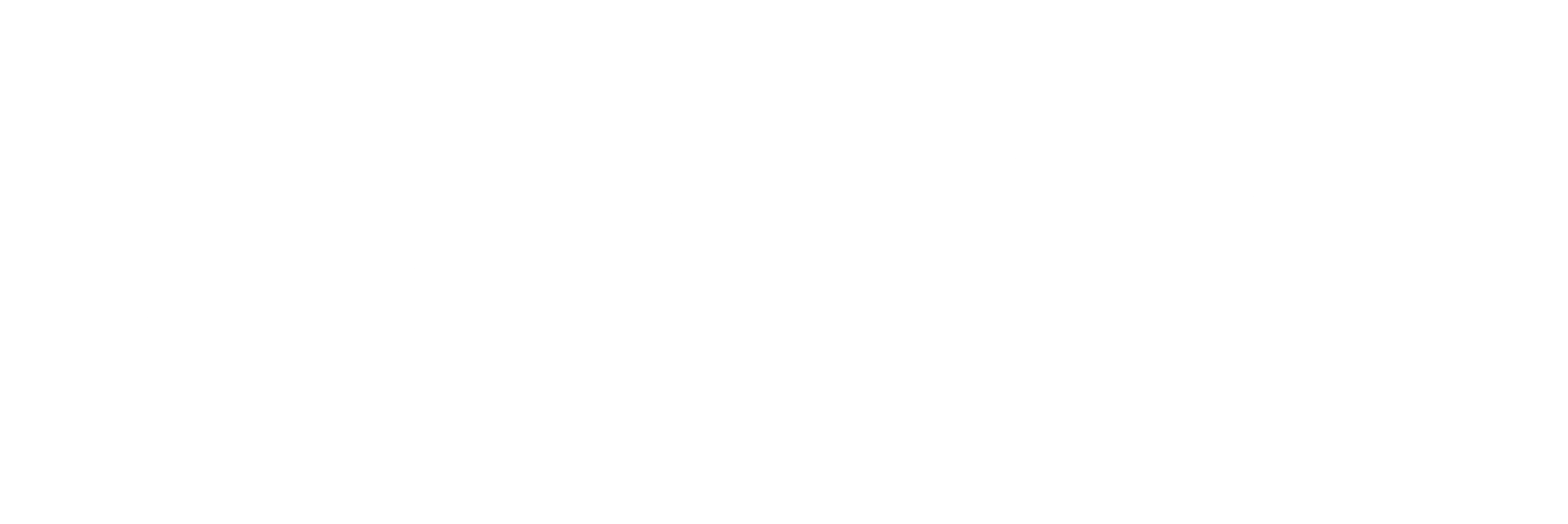 오자룡이 간다