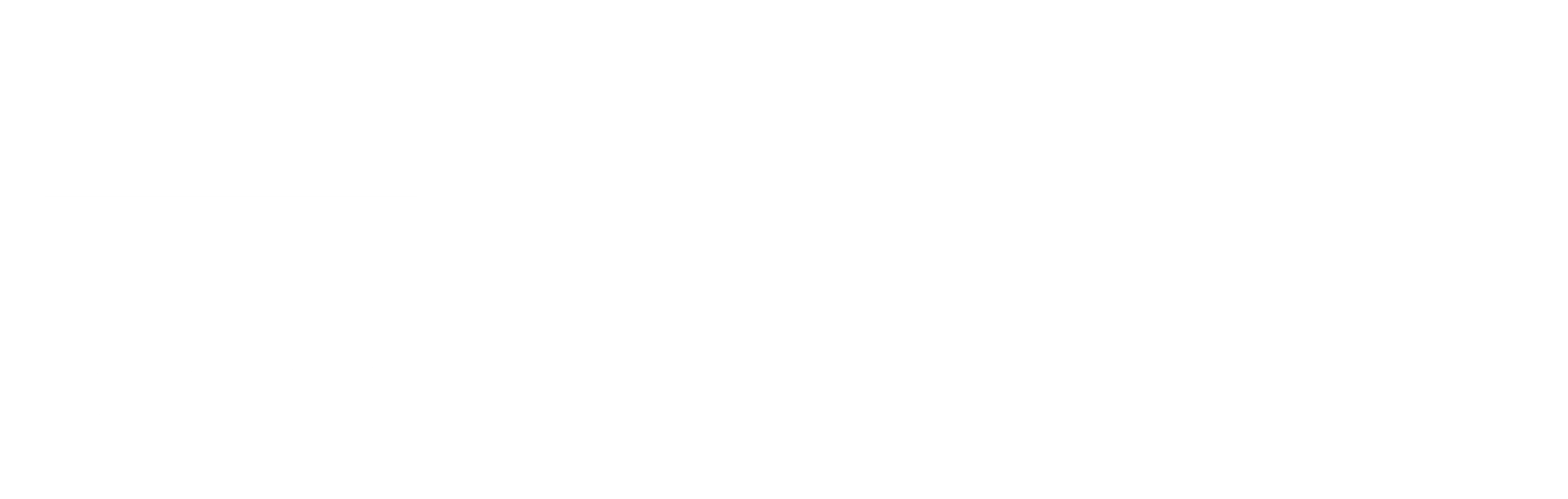 블링키