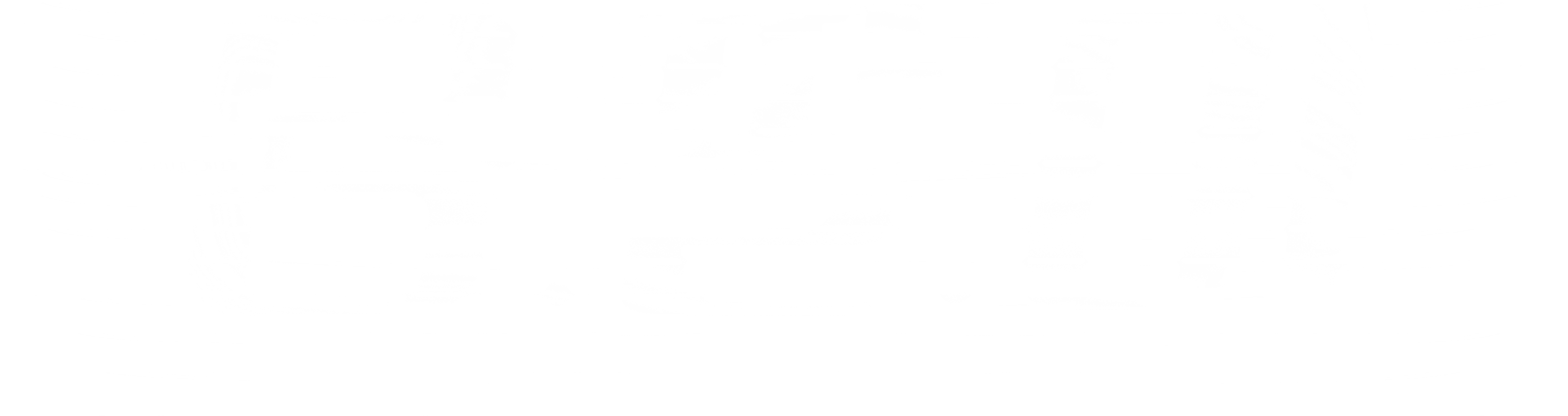 용팔이