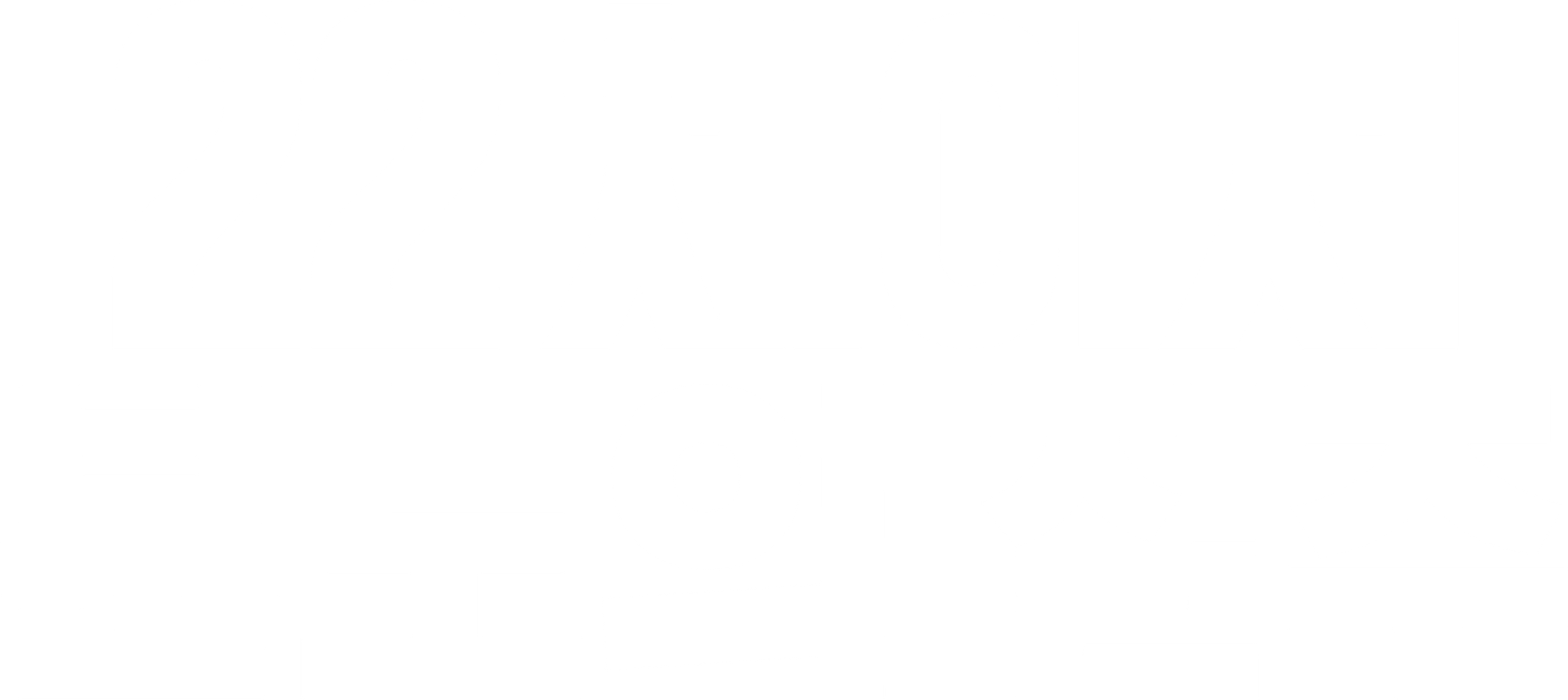 22 체이서: 분노의 질주