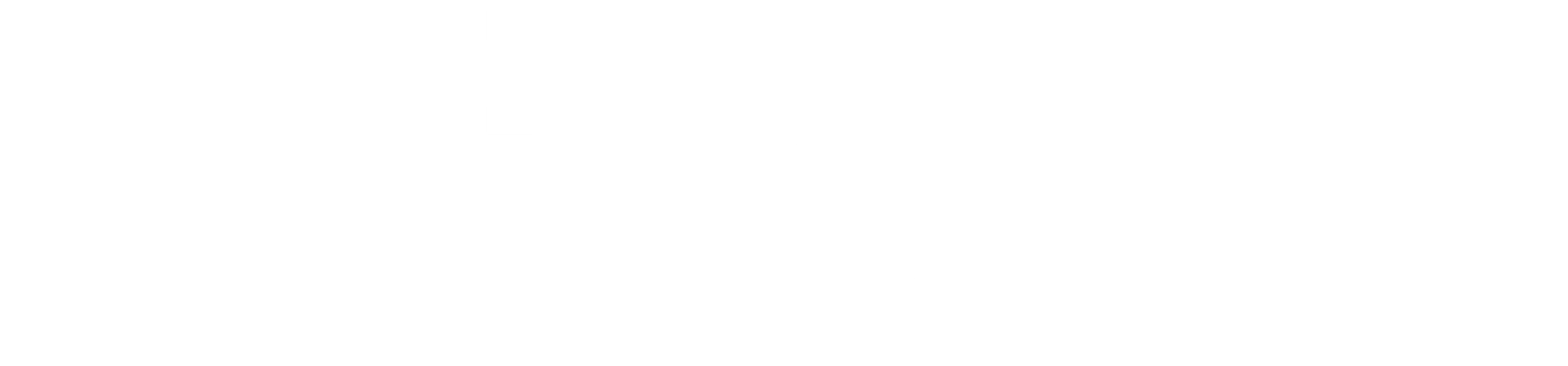 용병 이반