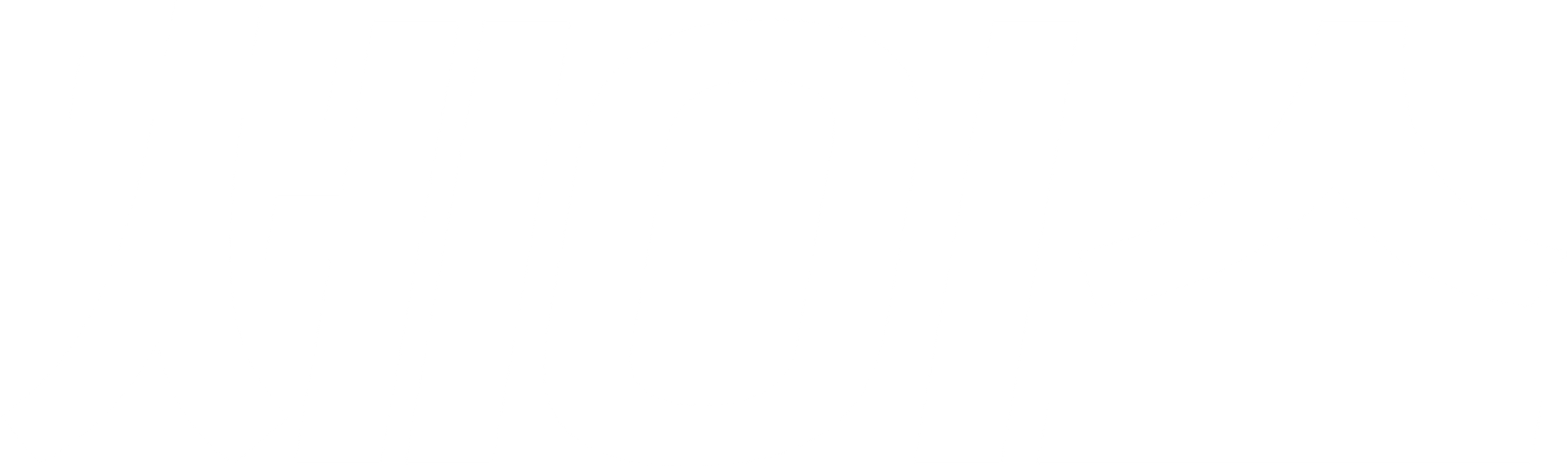 체이스