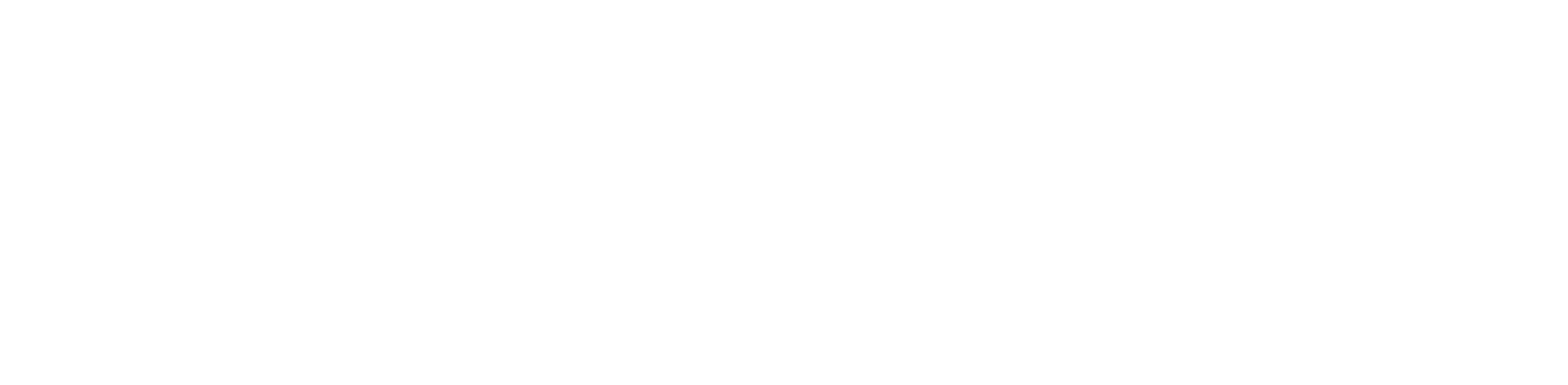 일다종사