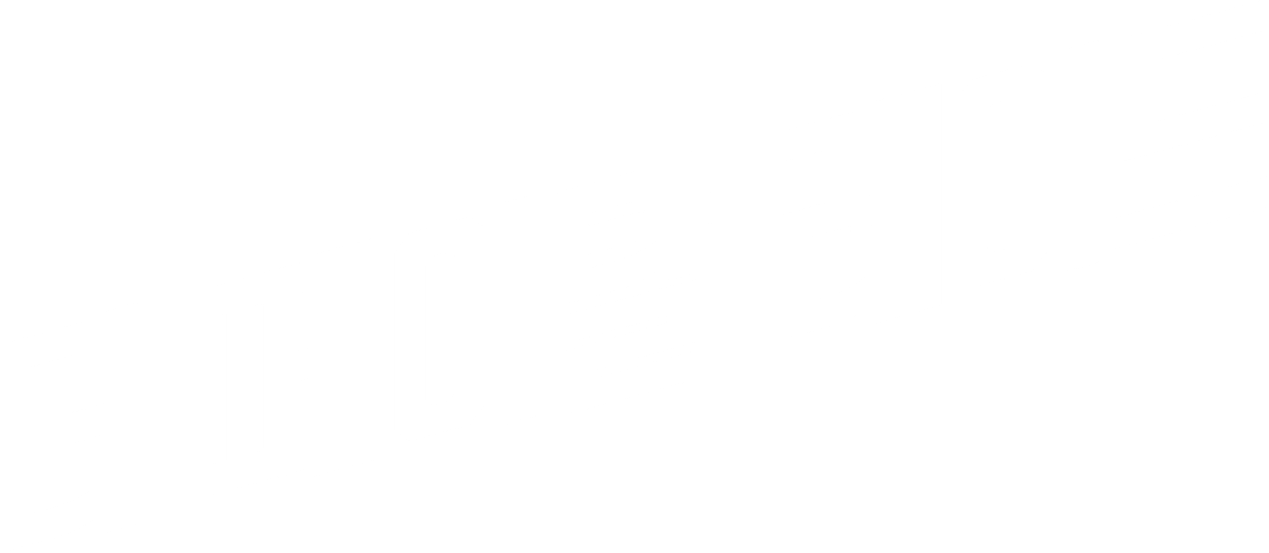 더 페이탈 레이드
