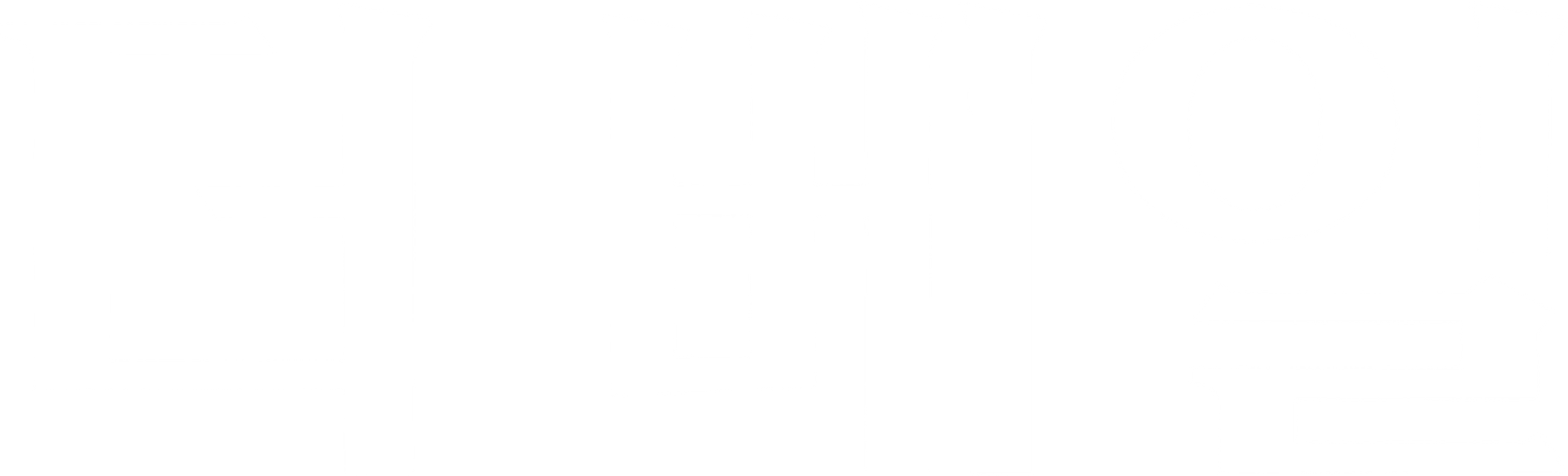 더 베일