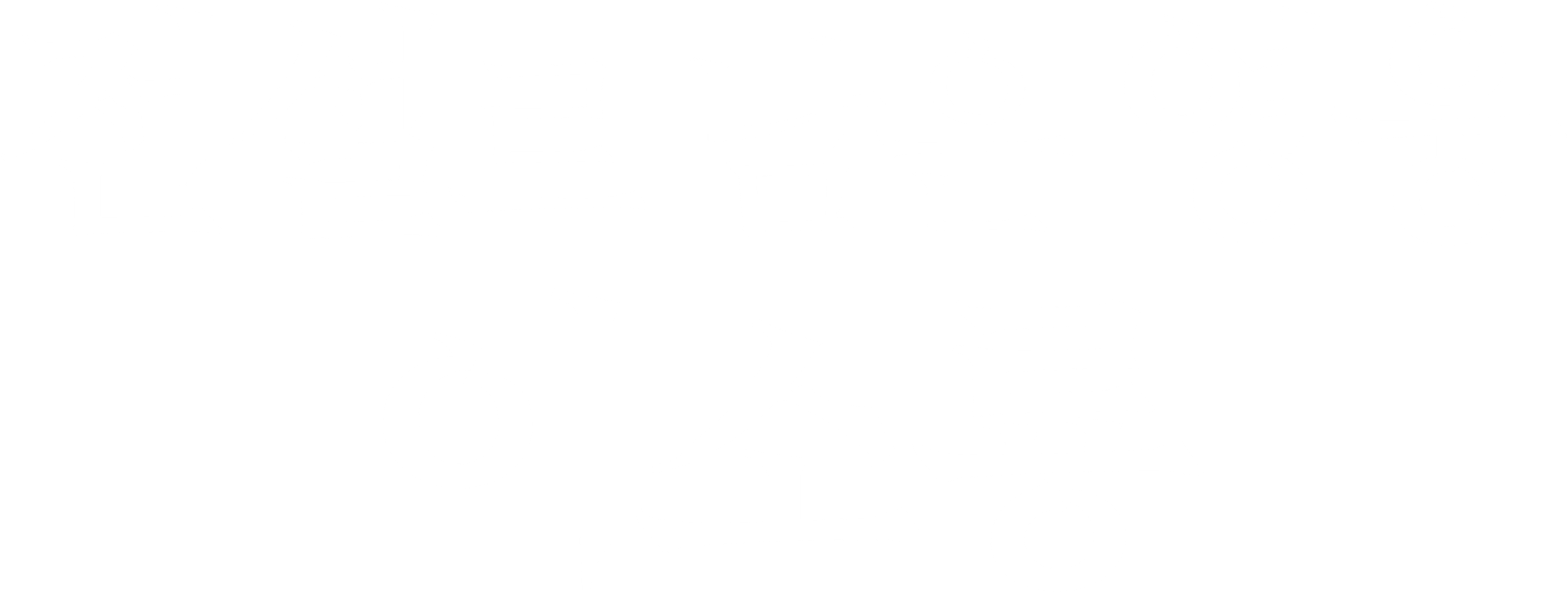 이소룡 전기
