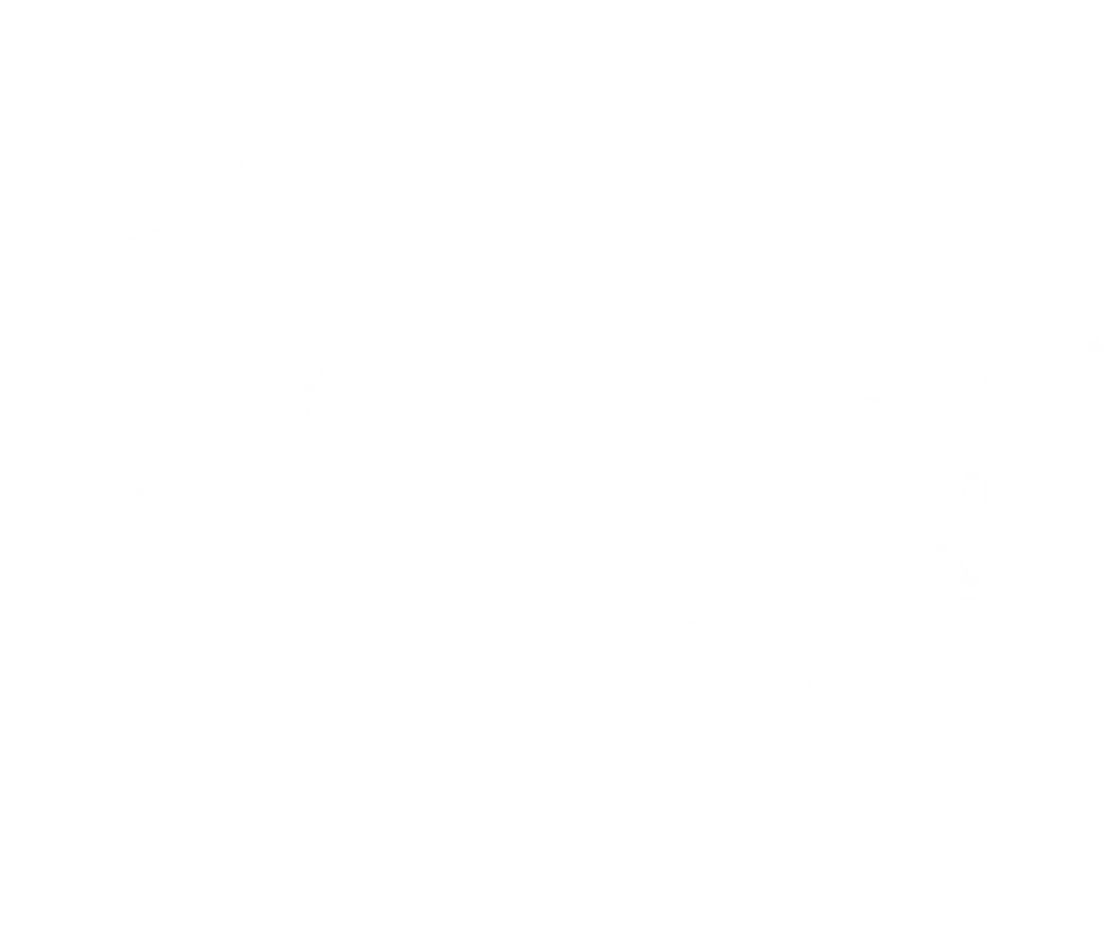 조제