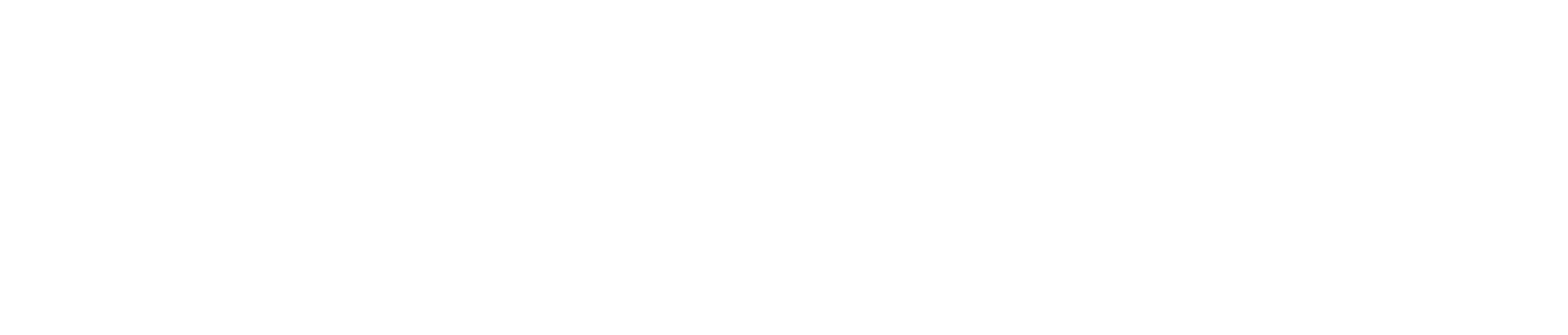 괴도 세인트 테일