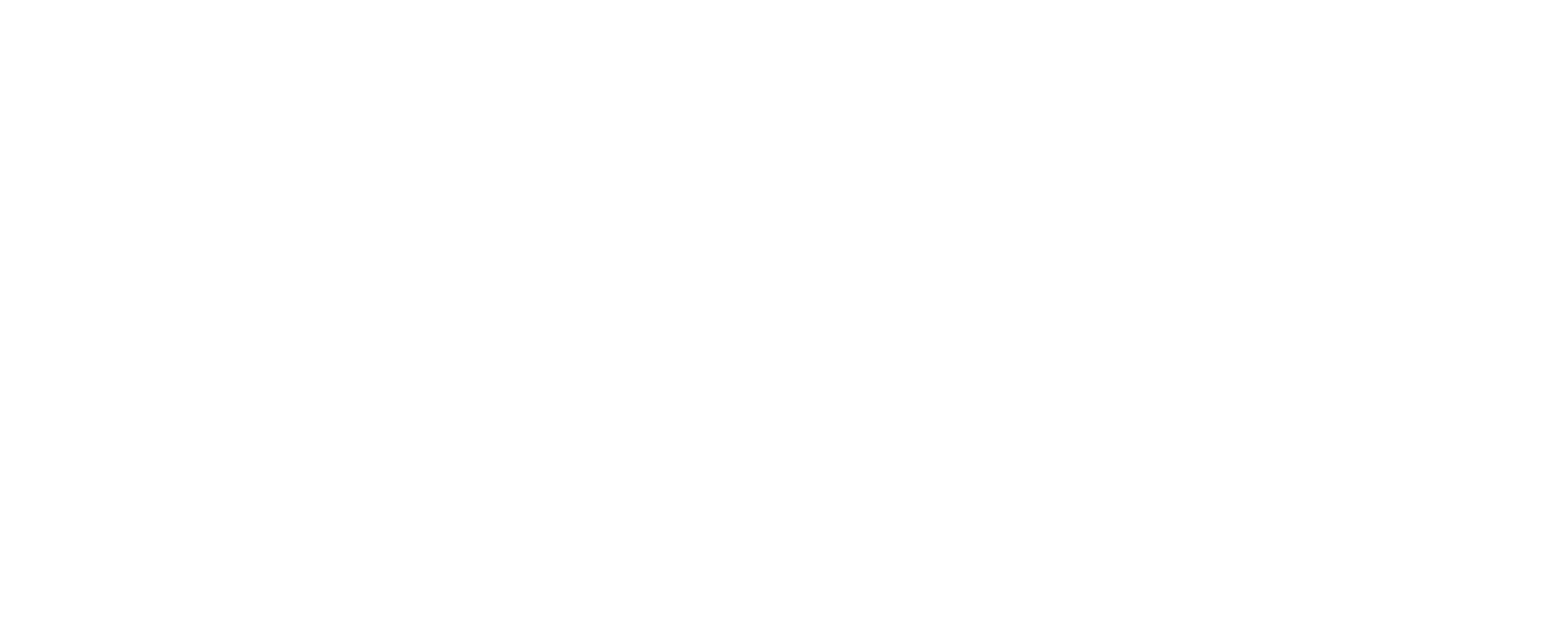 베를린 호스티지