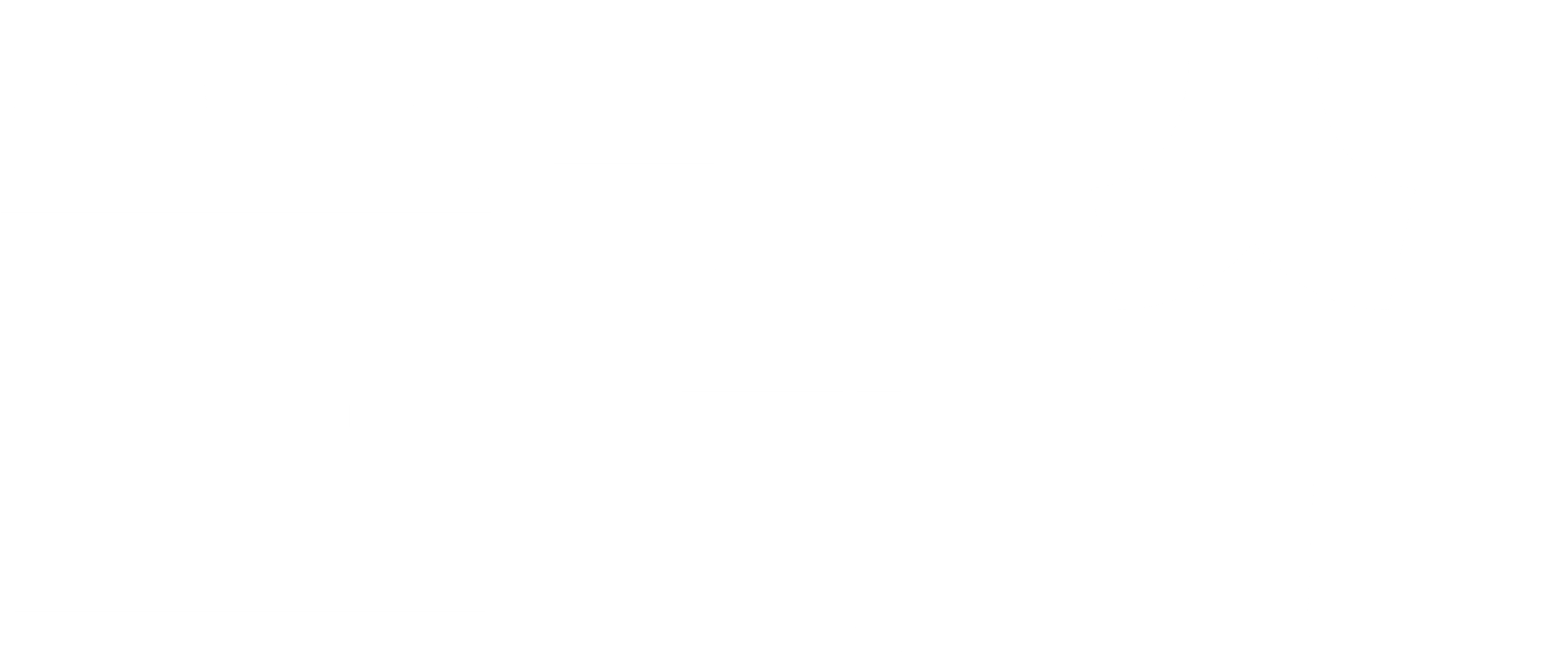 플러쉬