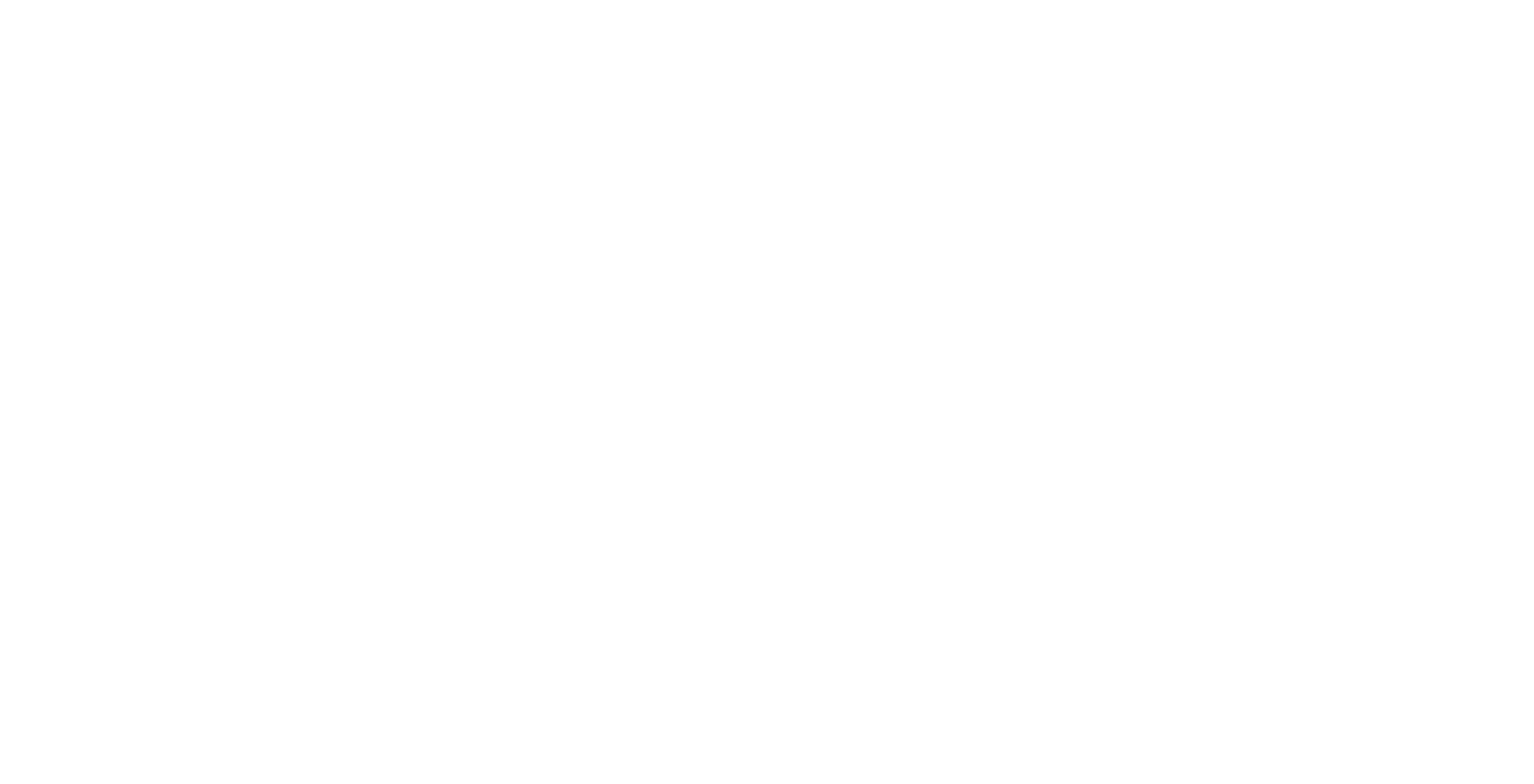 개미