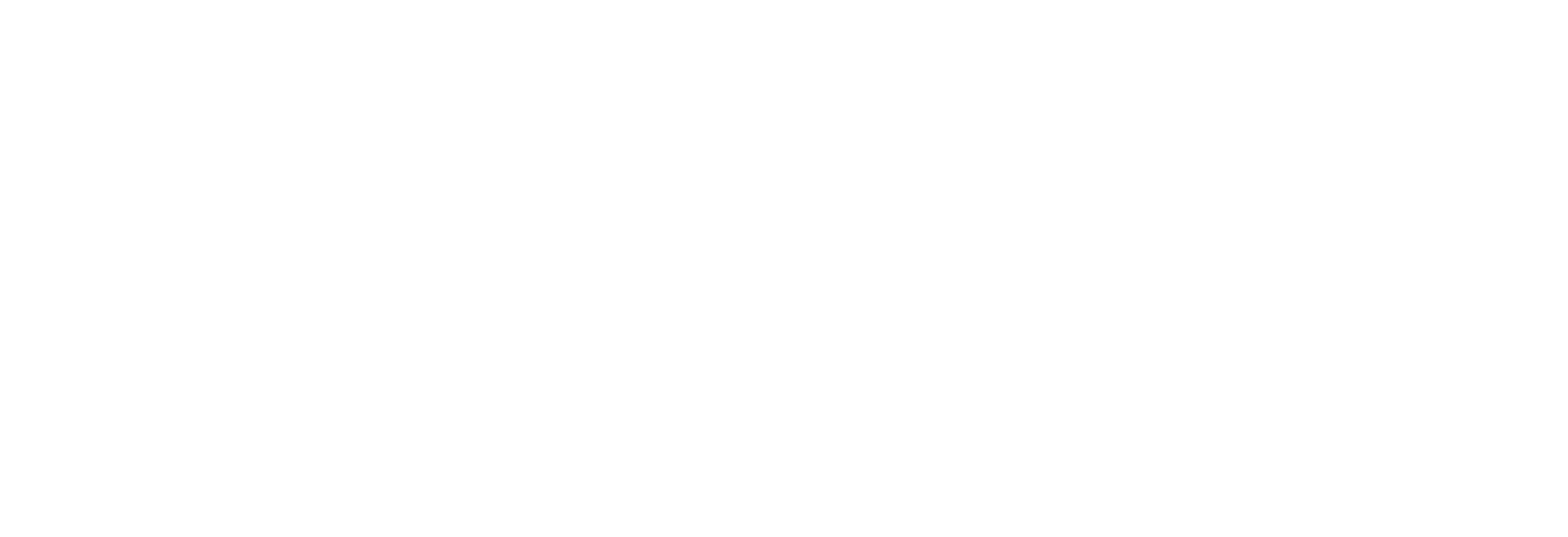 벌지대전투 지옥의 사수작전