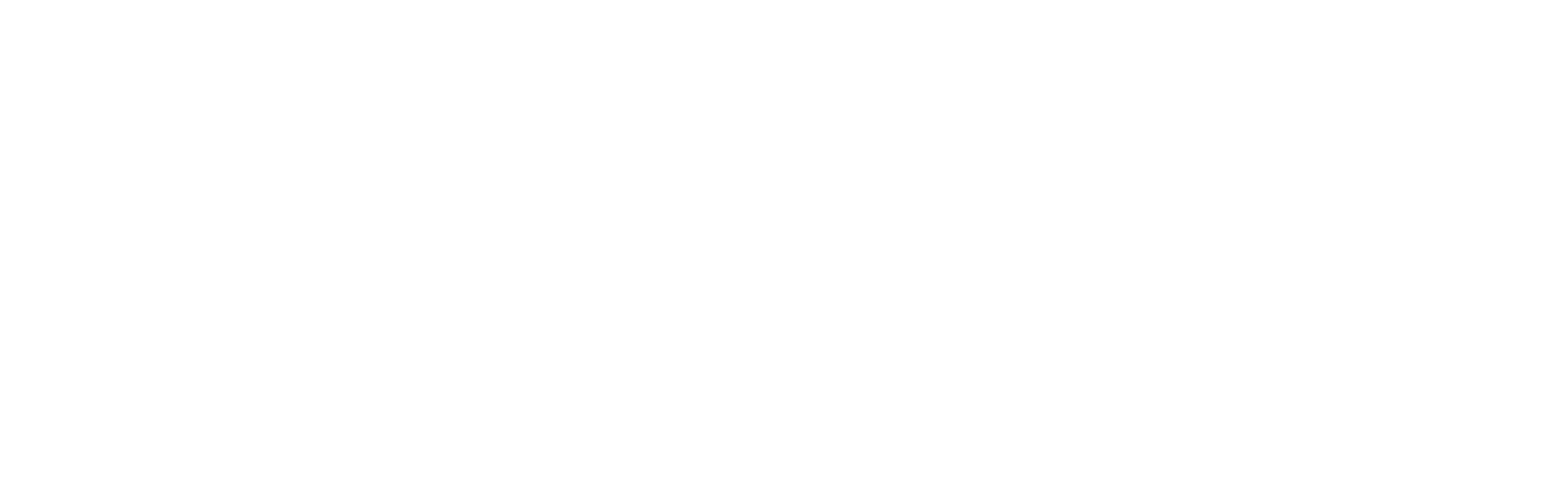 더 터널