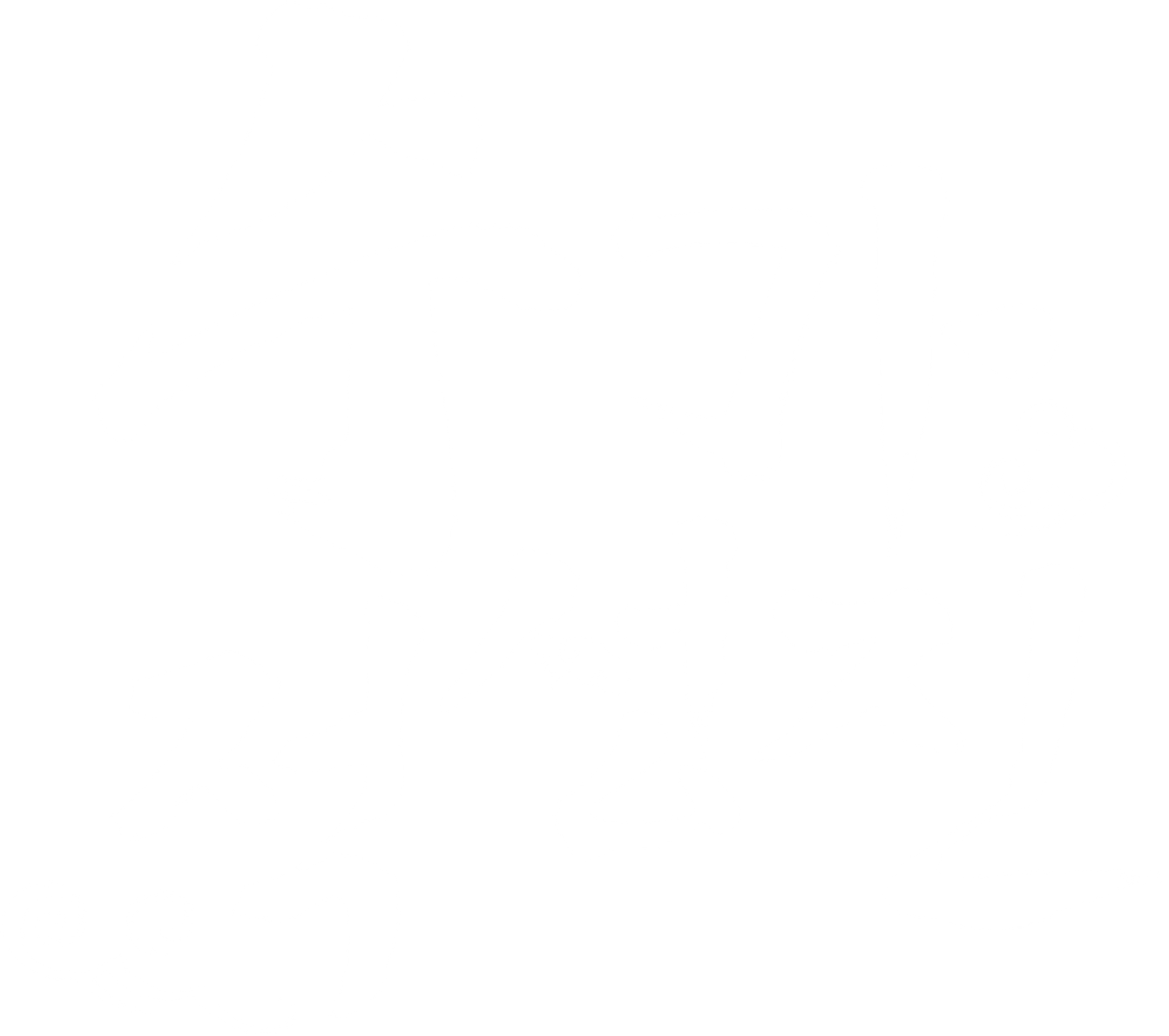 수가적성진