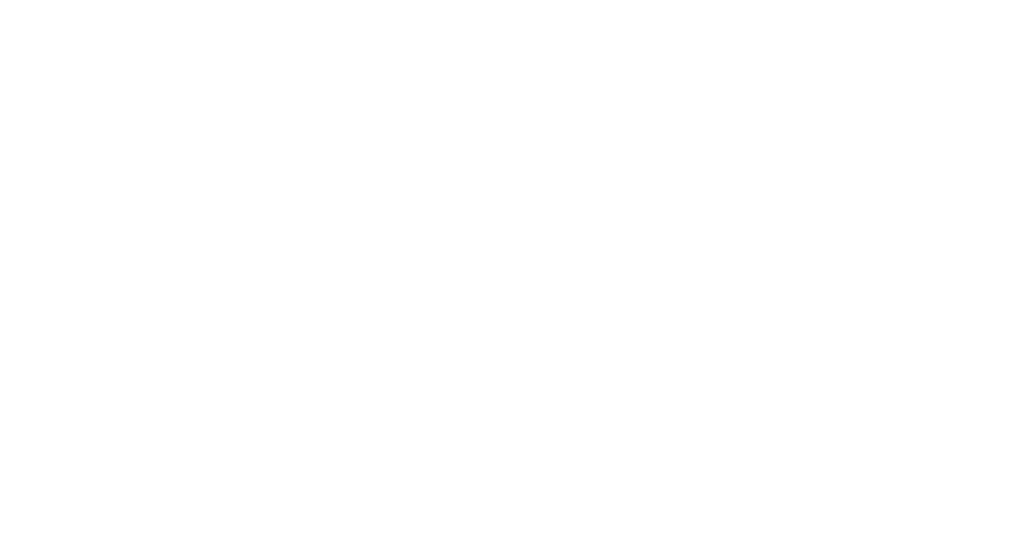 저주받은 이야기들