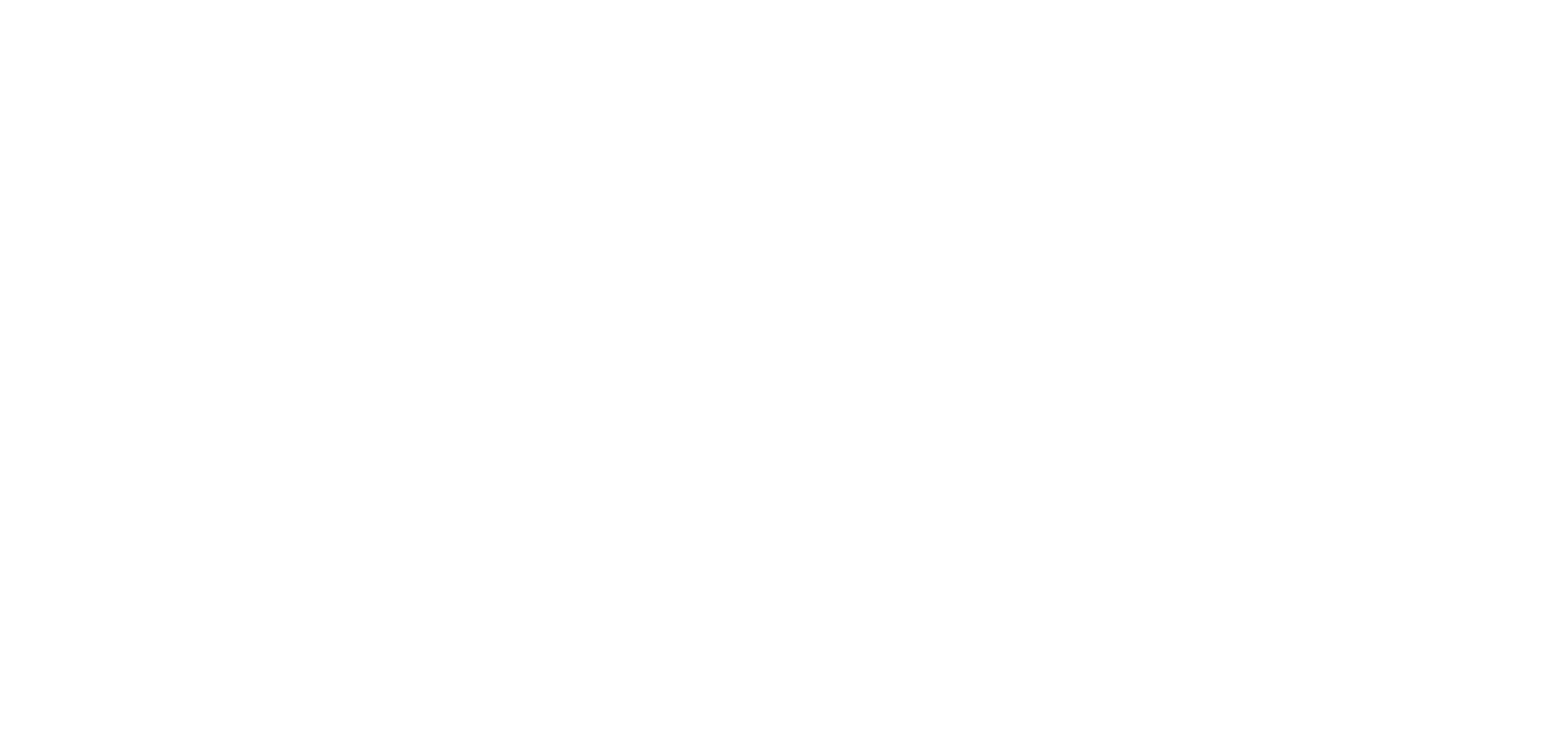 살아있는 데브의 밤