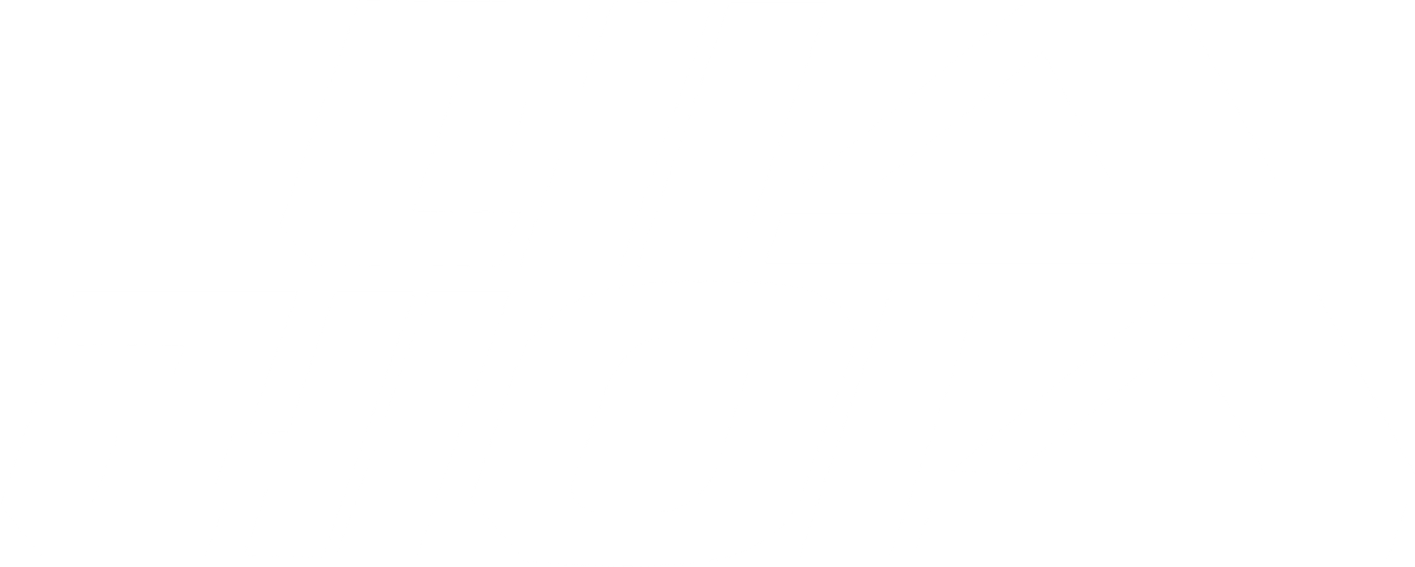 데스 레이스