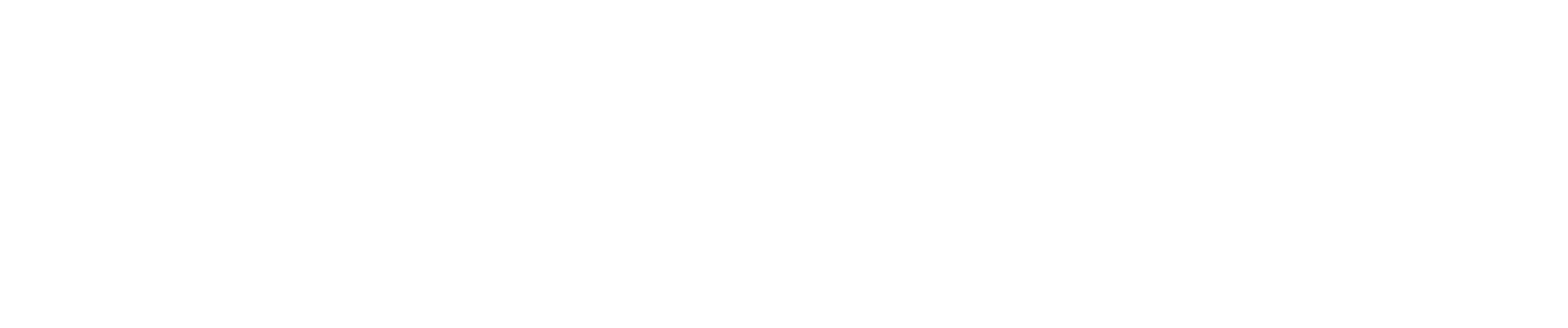페인티드 베일