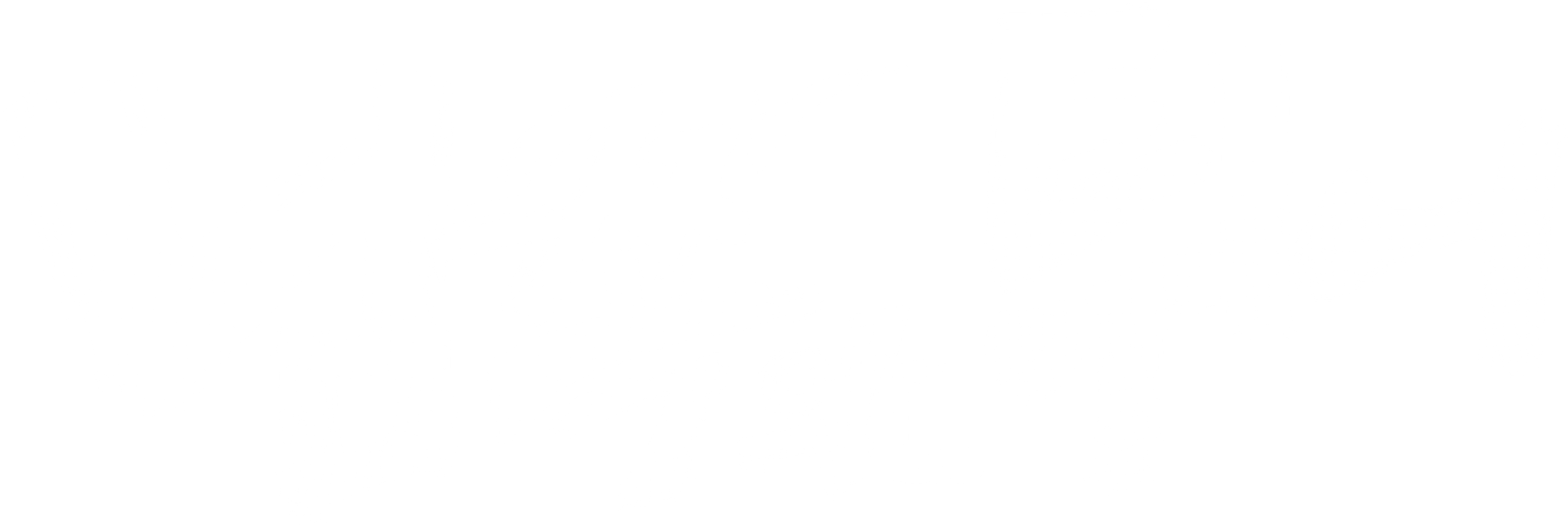 남쪽으로 튀어