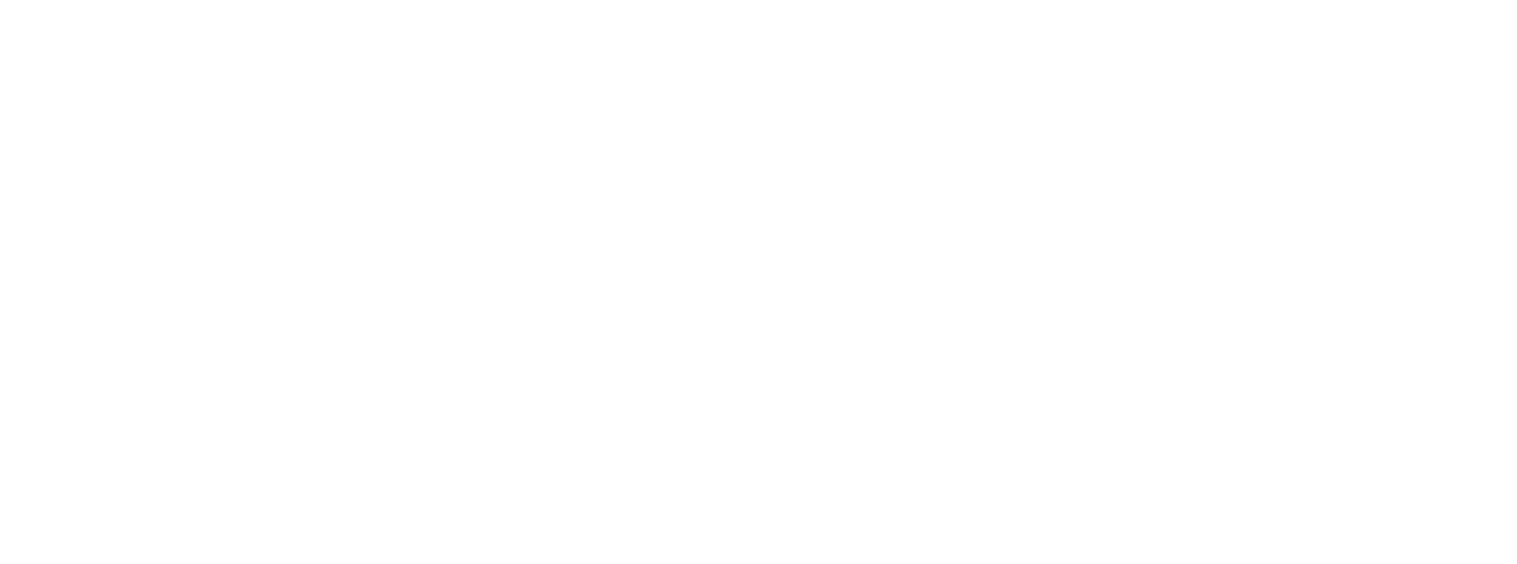 낡은권총