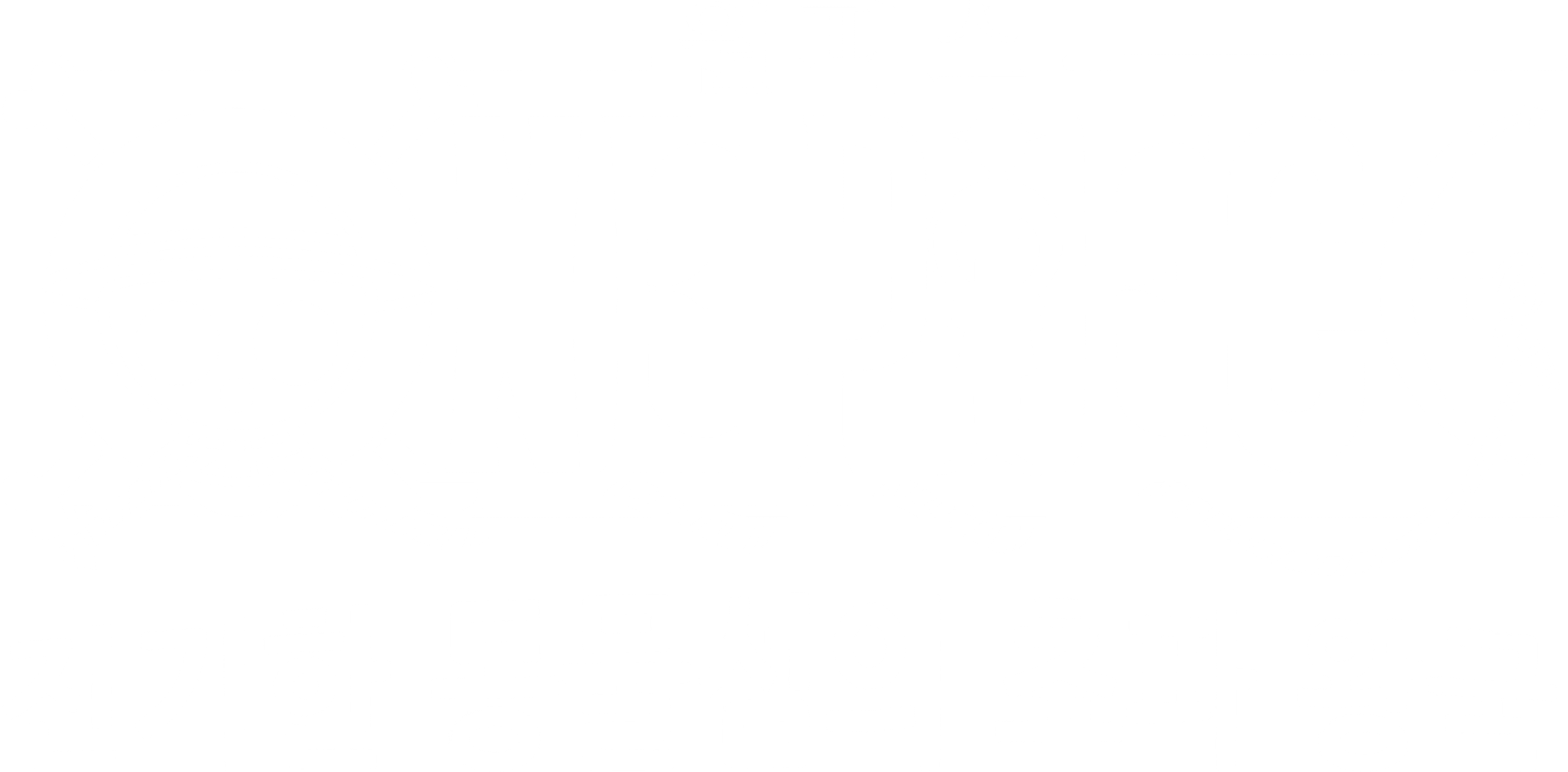 극장판 원피스 3기: 진기한 동물섬의 쵸파 왕국