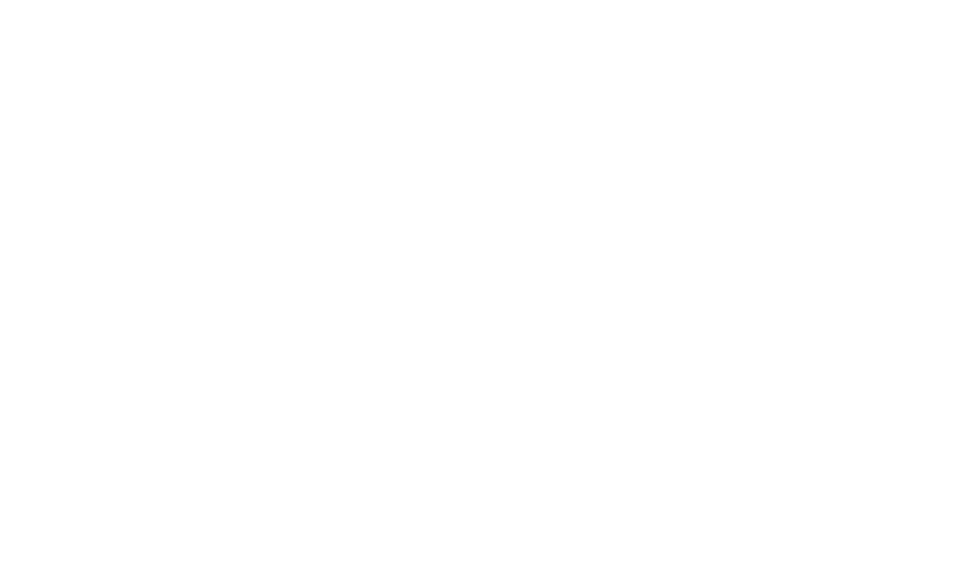 플레이