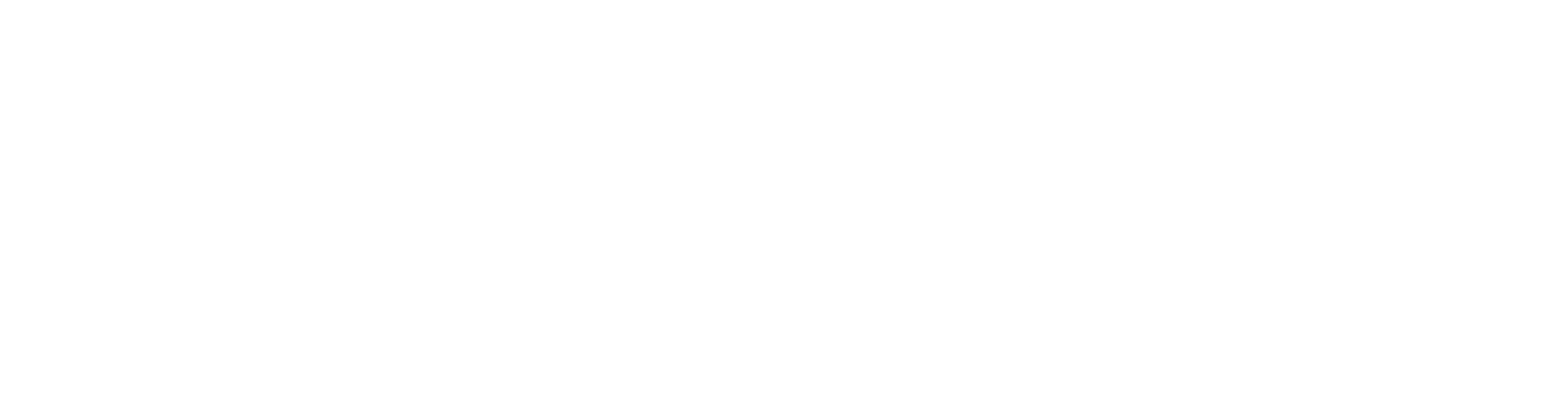 신 야쿠자의 아내들