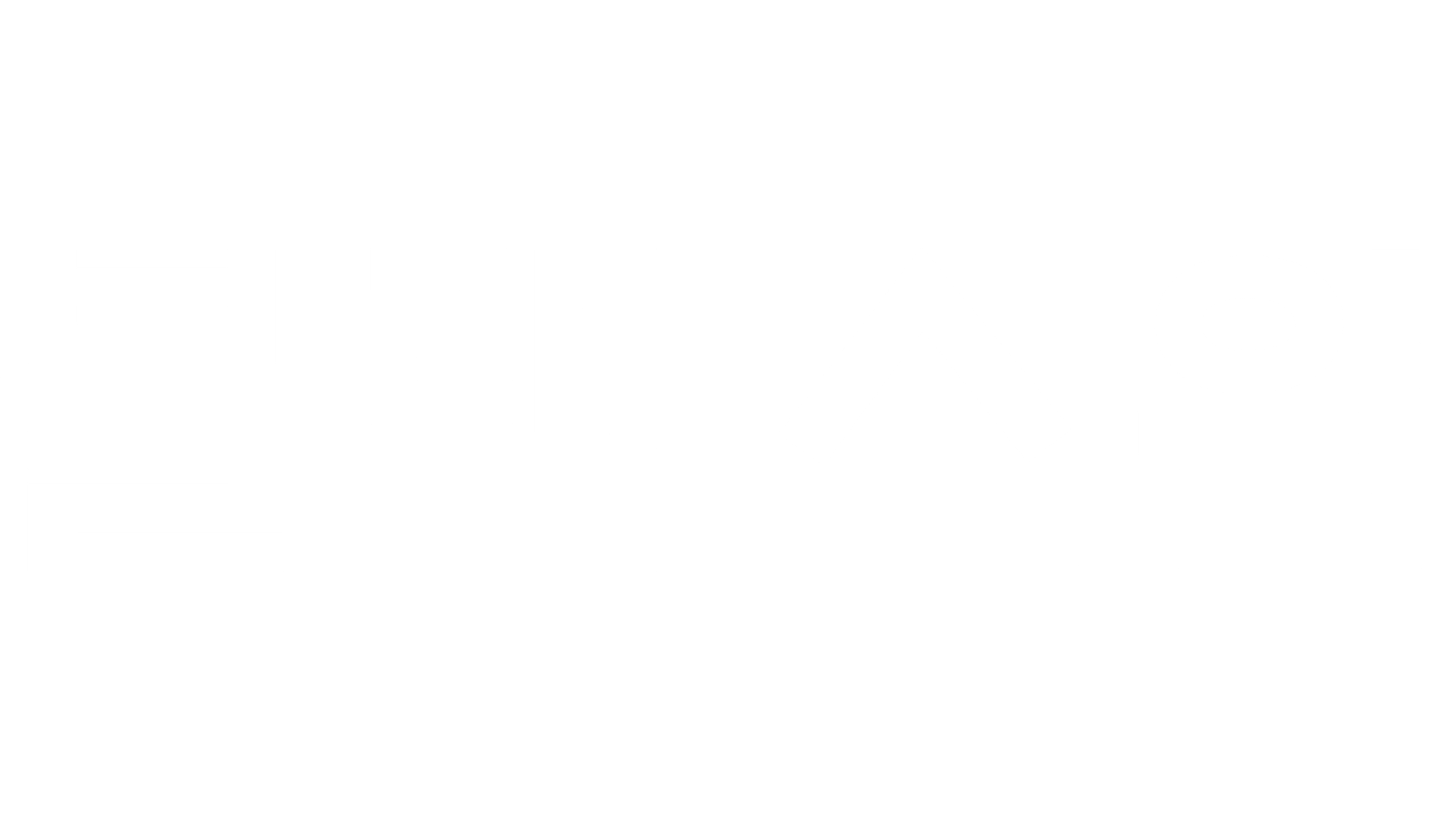 블랙 스완