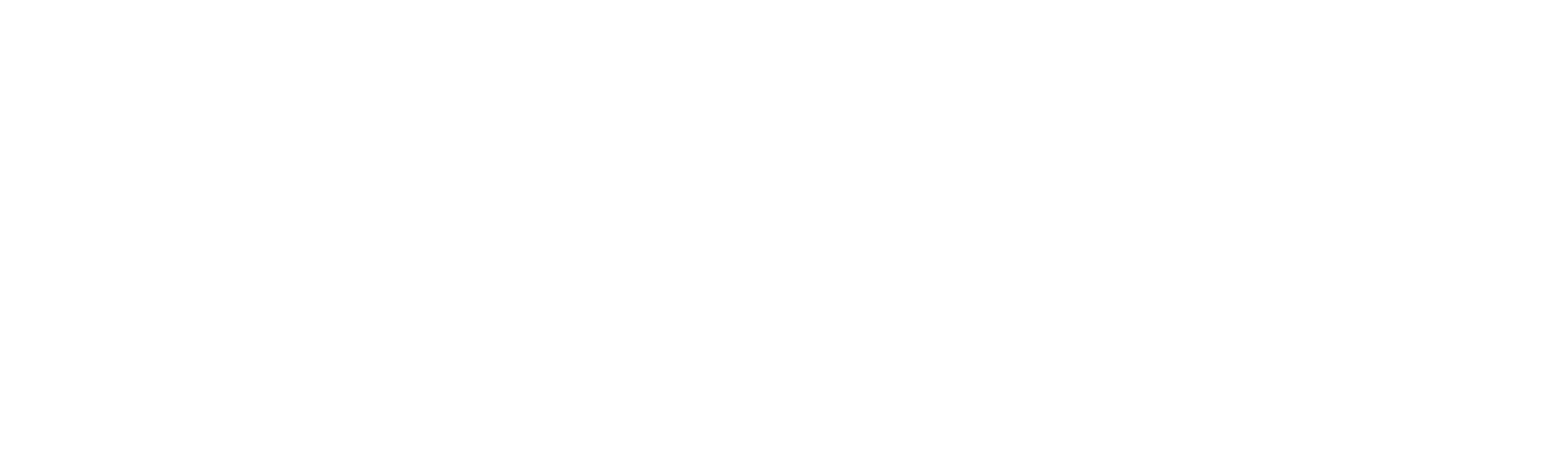 더블 타겟