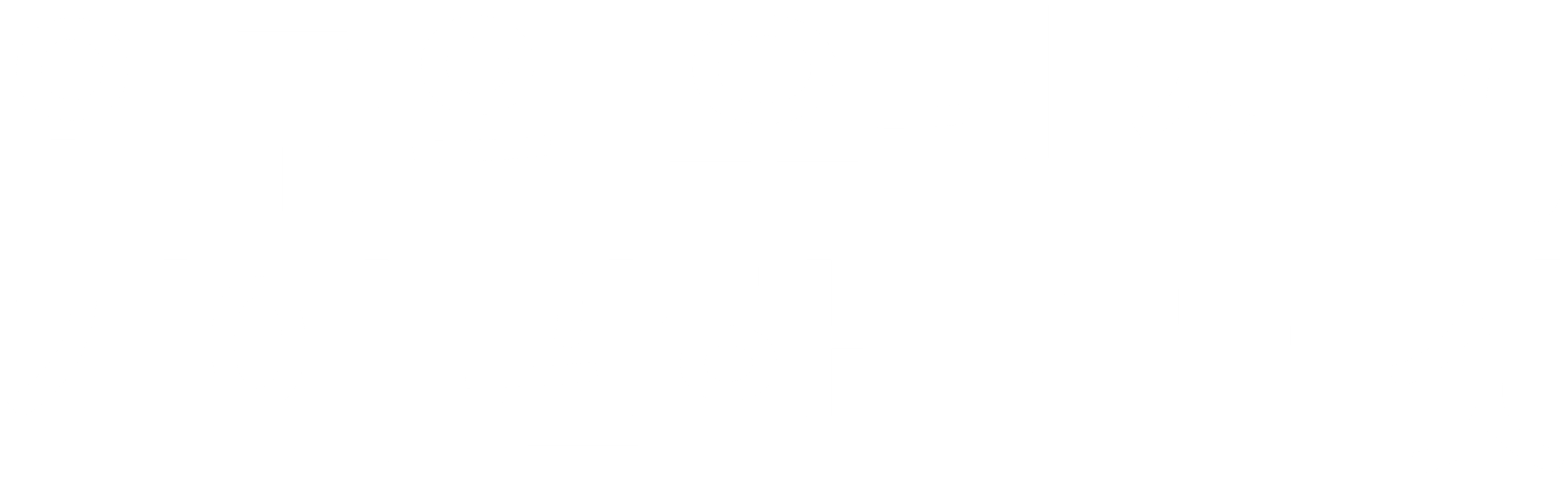 개에 관한 놀라운 비밀