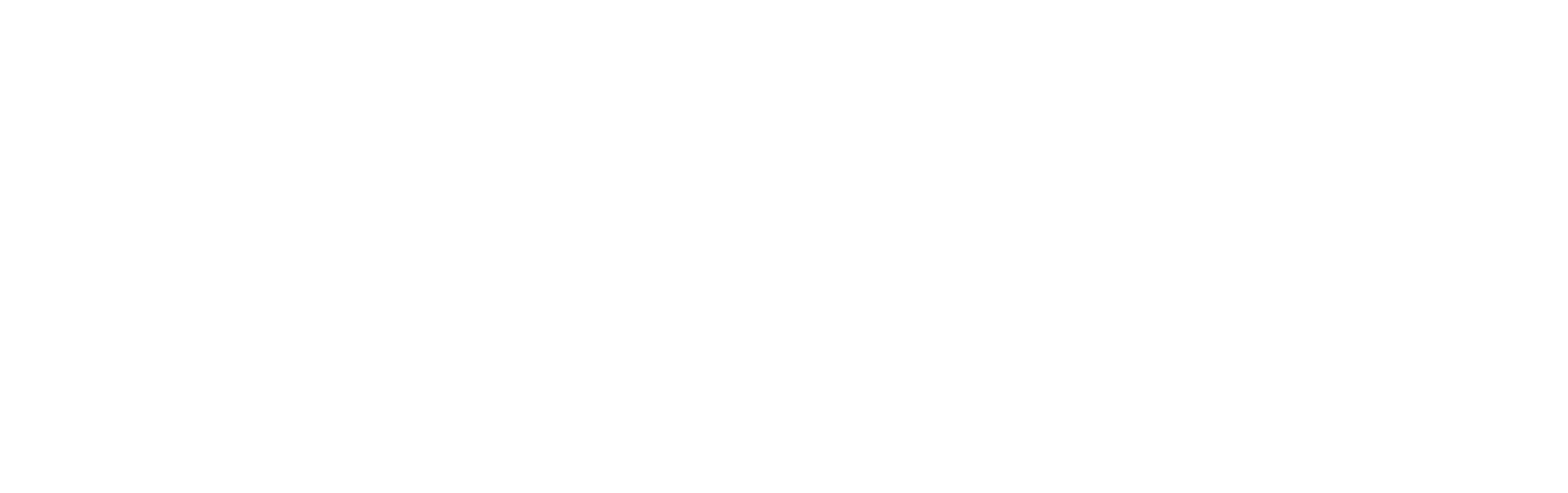 시크릿