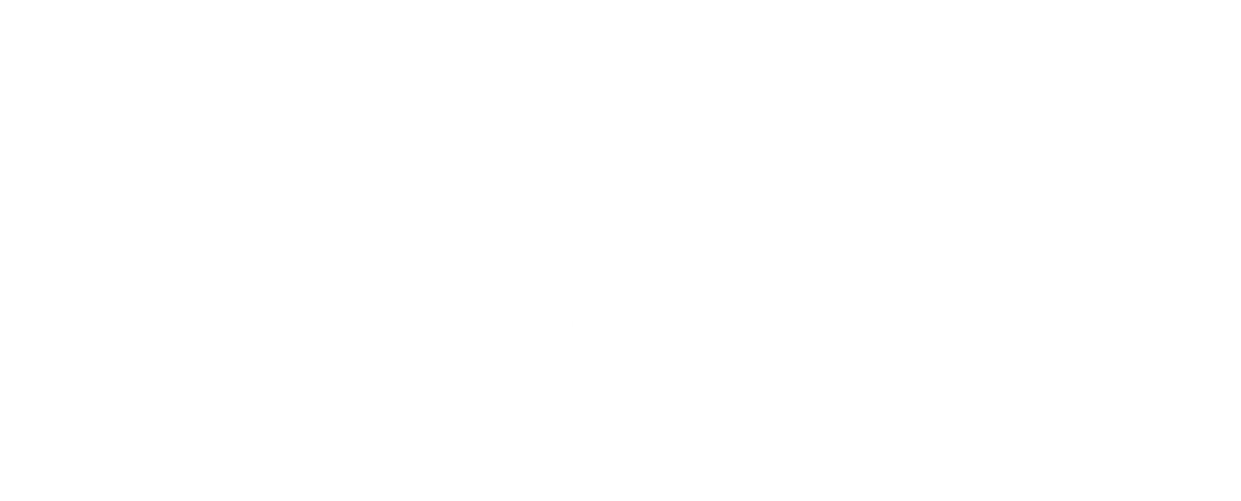 국화의 틈