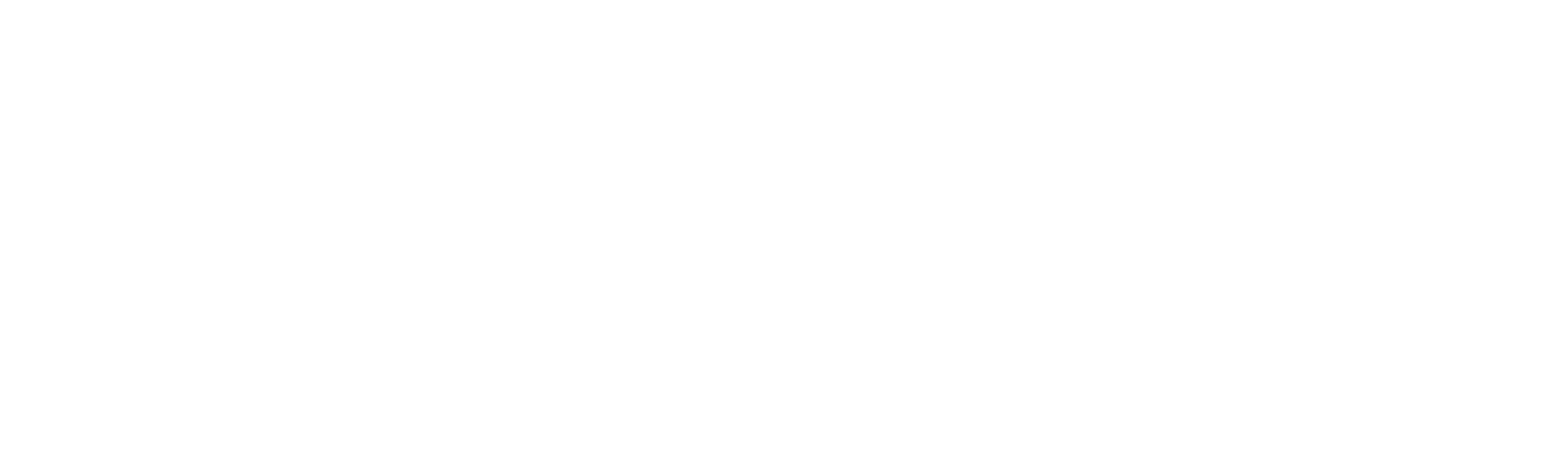 선학신침