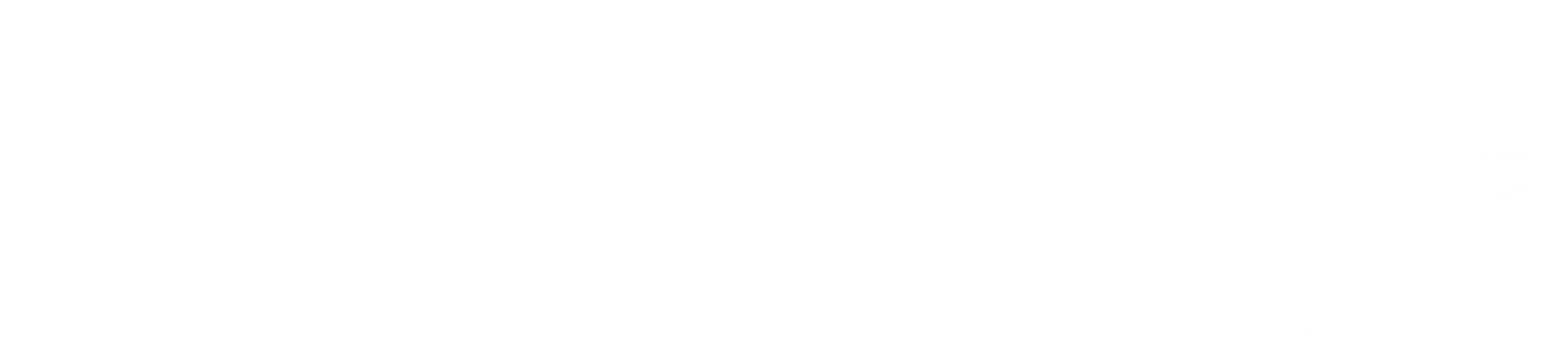 그해 여름