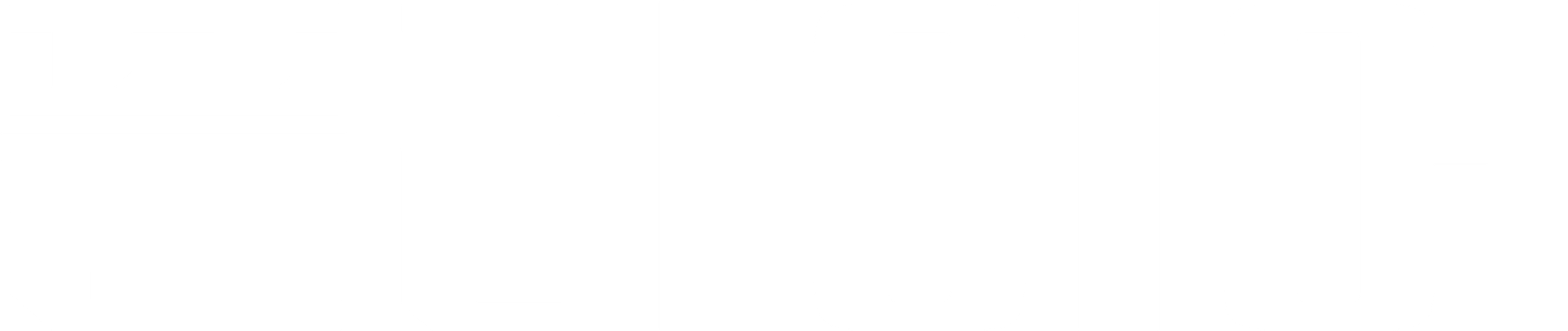 플레이어